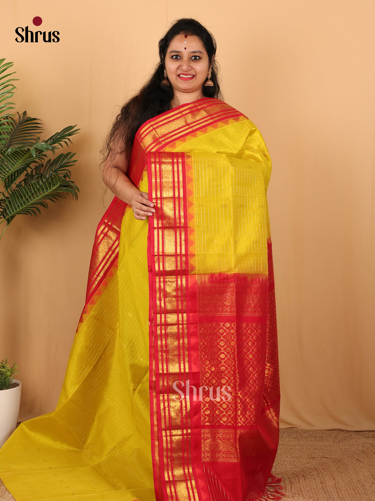 Charming Yellow Silk Cotton Saree With Beautiful Zari Stripes And Buttas With Contrast Red Border With Golden Zari - Shop on Shrus.com
