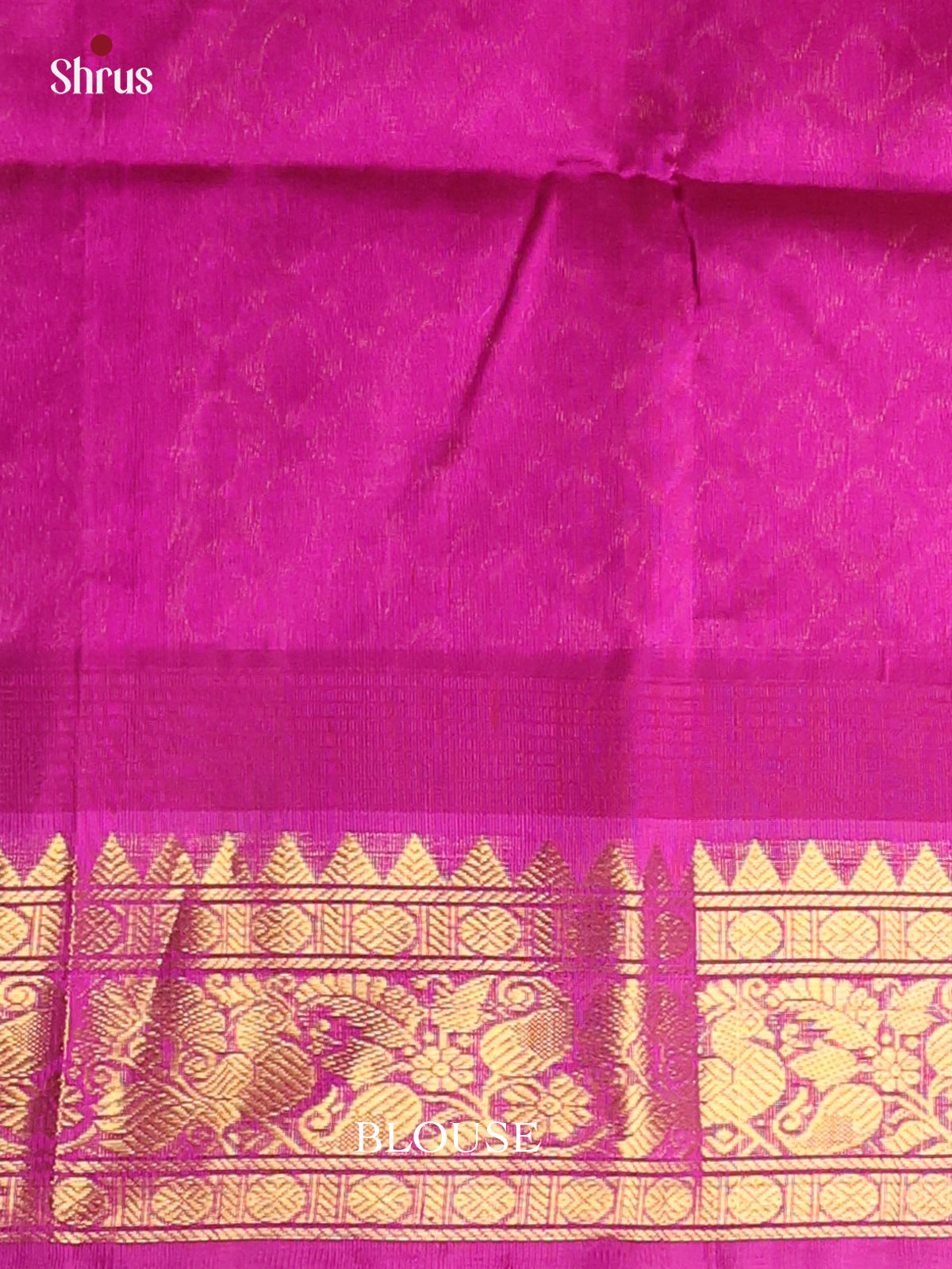 Mustardy Green & Majenta - Silk Cotton Saree - Shop on Shrus.com