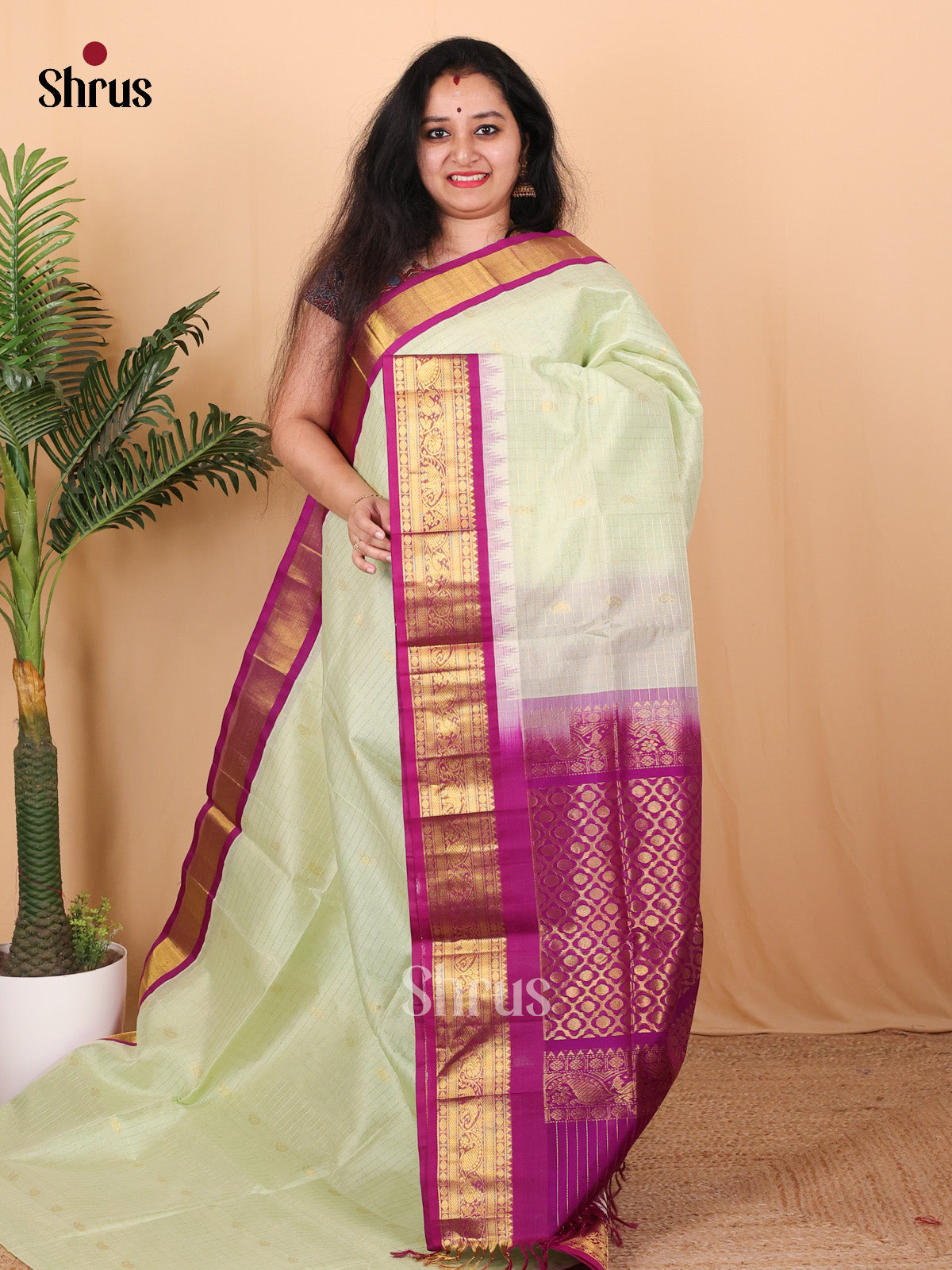 Pastel Green & Purple - Silk Cotton Saree - Shop on Shrus.com