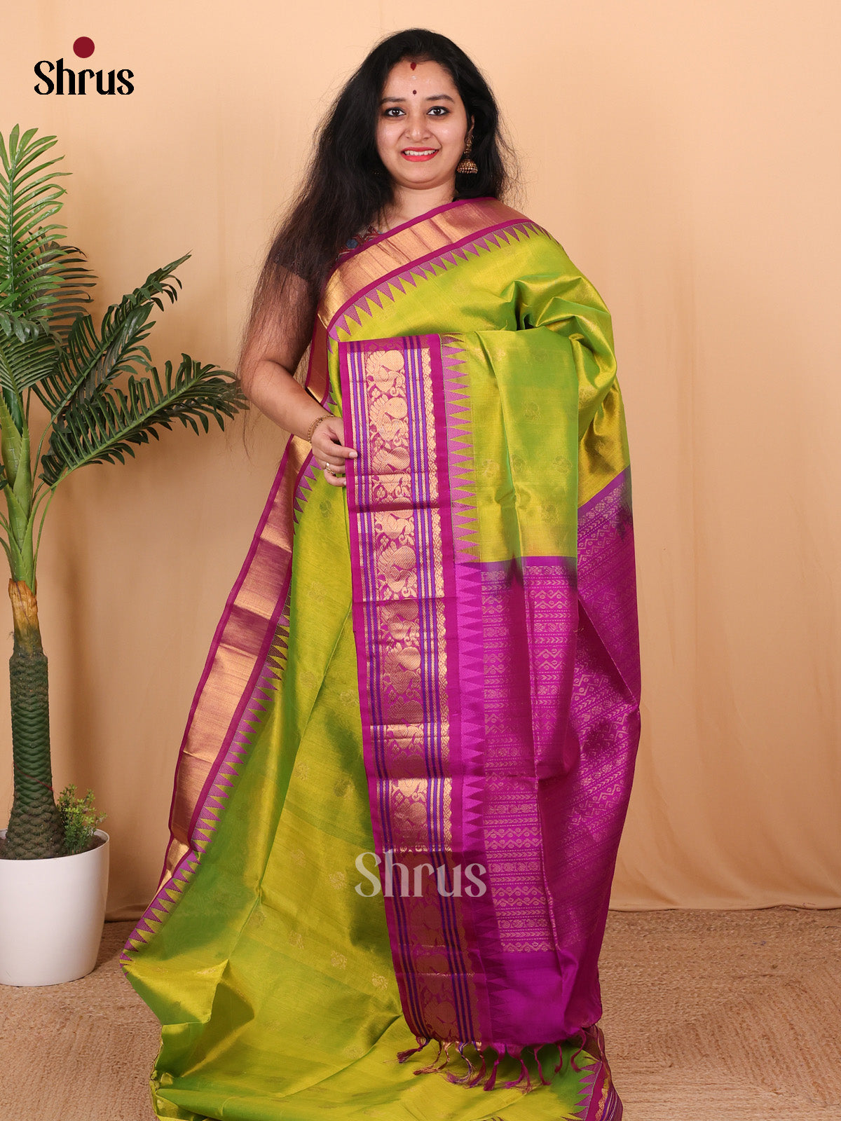 Parrot Green & Majenta - Silk Cotton Saree - Shop on Shrus.com