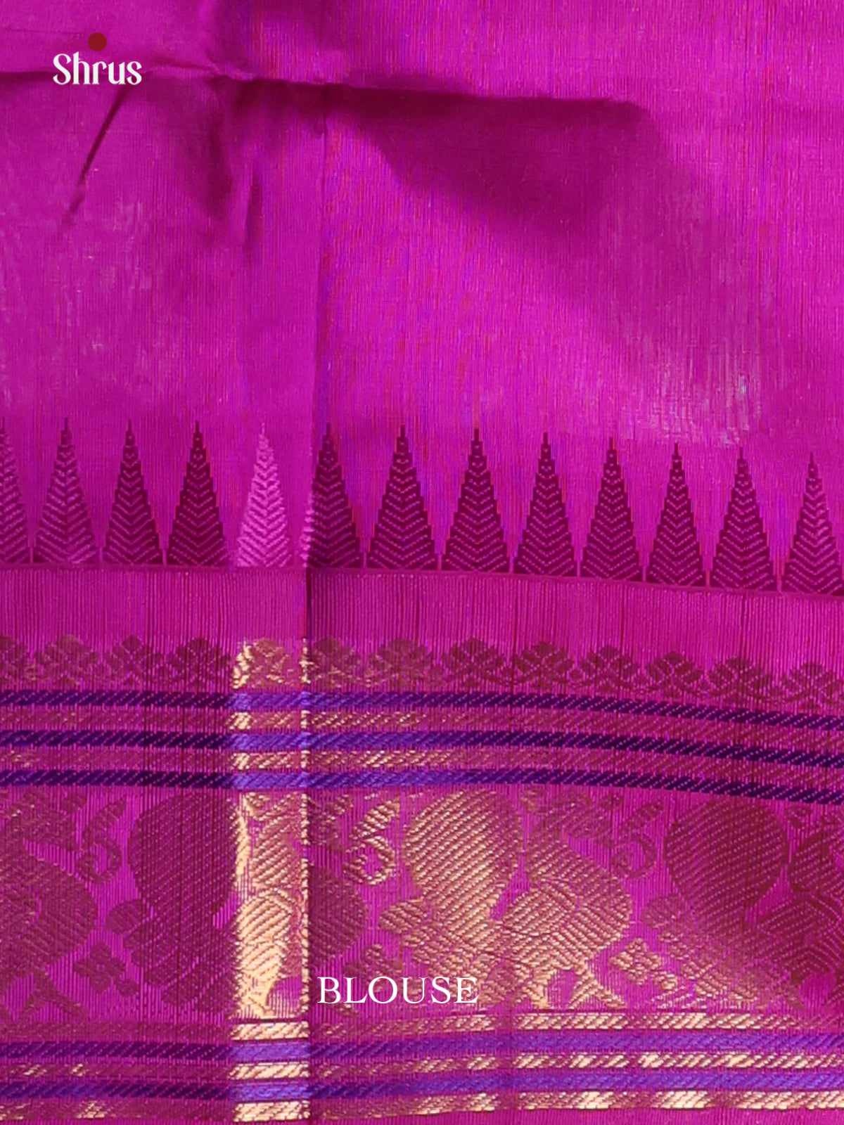 Parrot Green & Majenta - Silk Cotton Saree - Shop on Shrus.com