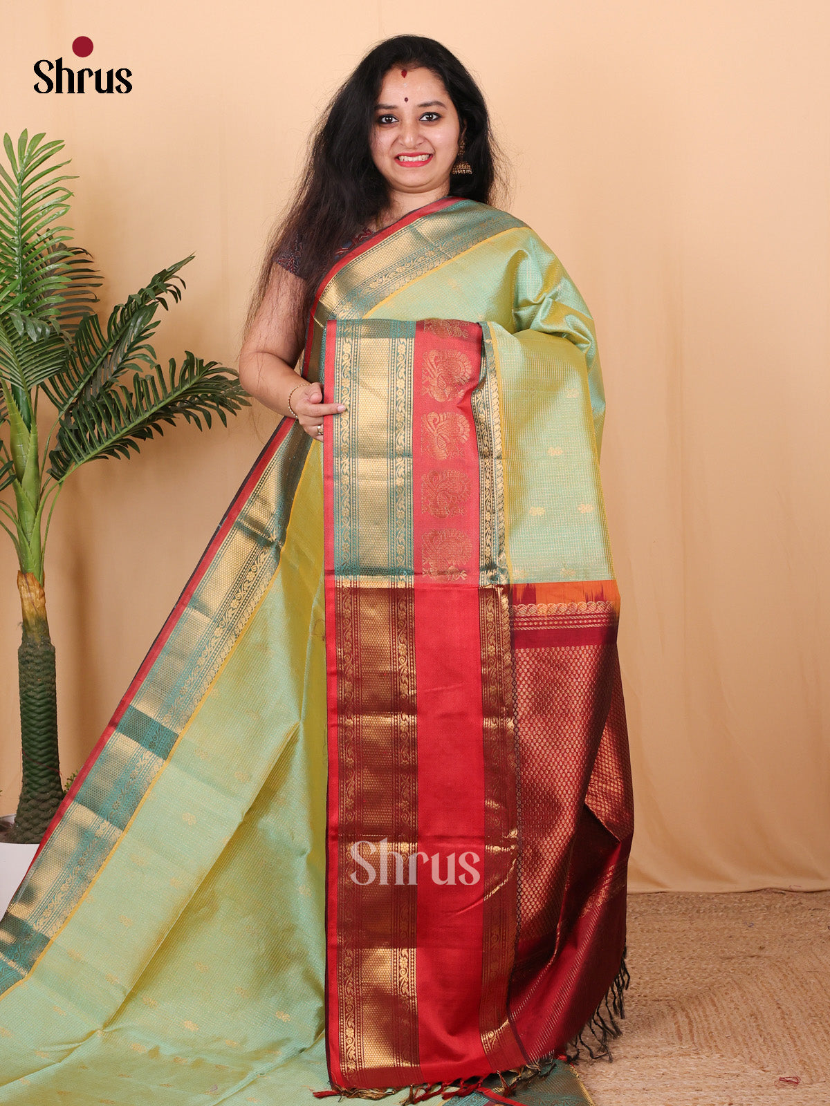 Pastel Green & Maroon - Silk Cotton Saree - Shop on Shrus.com