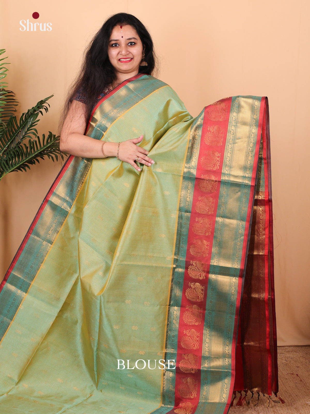 Pastel Green & Maroon - Silk Cotton Saree - Shop on Shrus.com