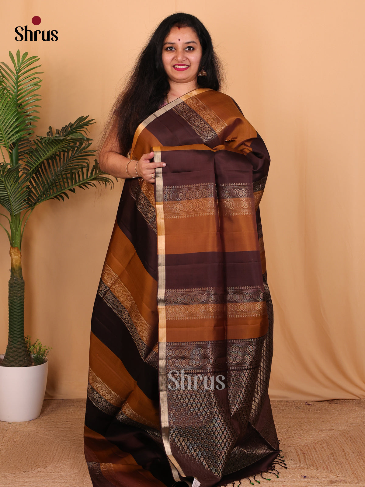Lite & Dark Brown - Soft Silk Saree - Shop on Shrus.com