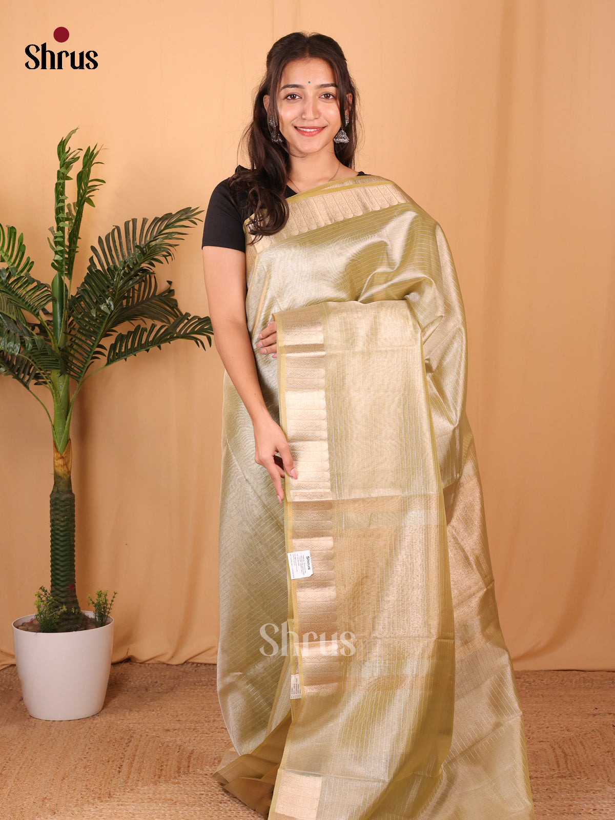 Chutney Green- Semi Tissue Saree - Shop on Shrus.com