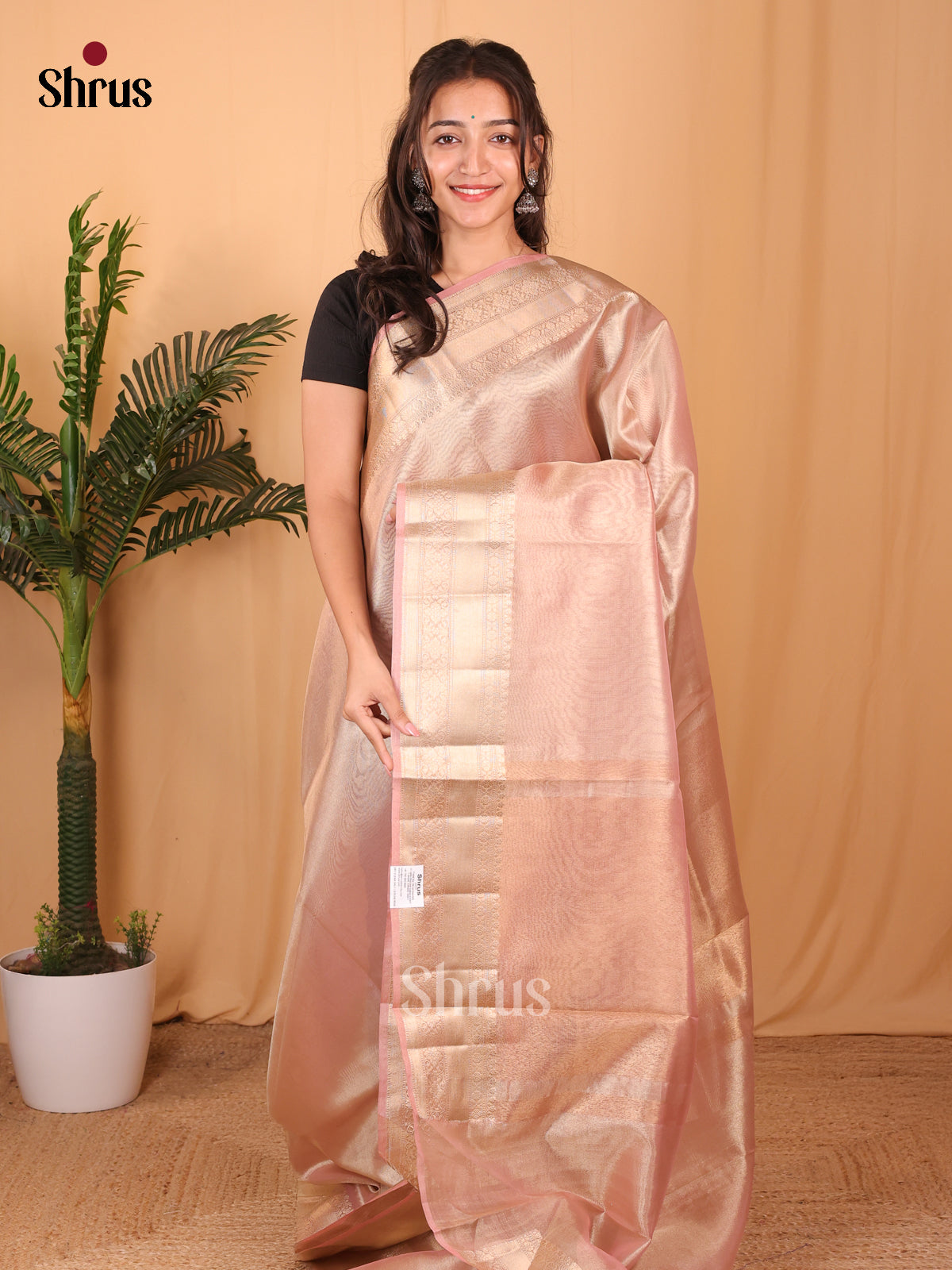 Pink - Semi Tissue Saree - Shop on Shrus.com