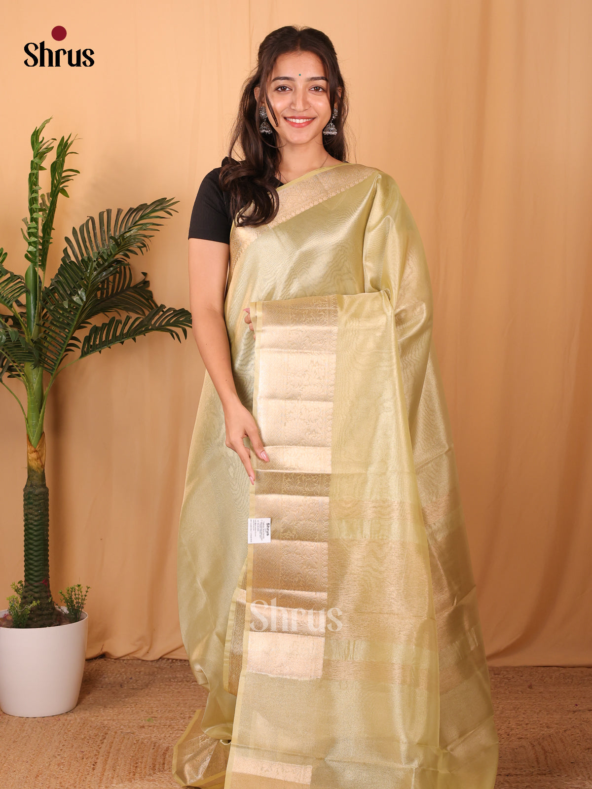 Lite Green- Semi Tissue Saree - Shop on Shrus.com