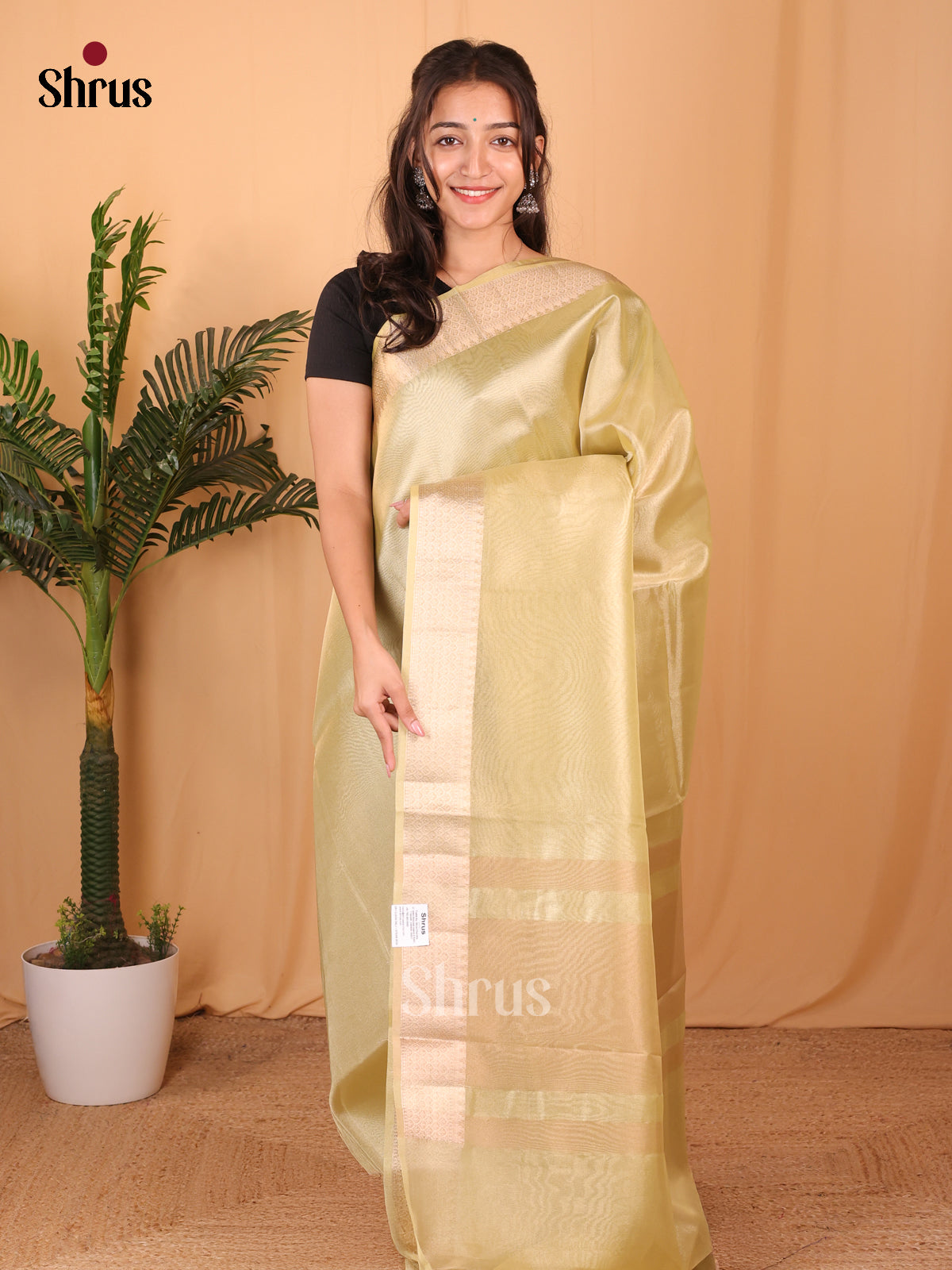Green- Semi Tissue Saree - Shop on Shrus.com