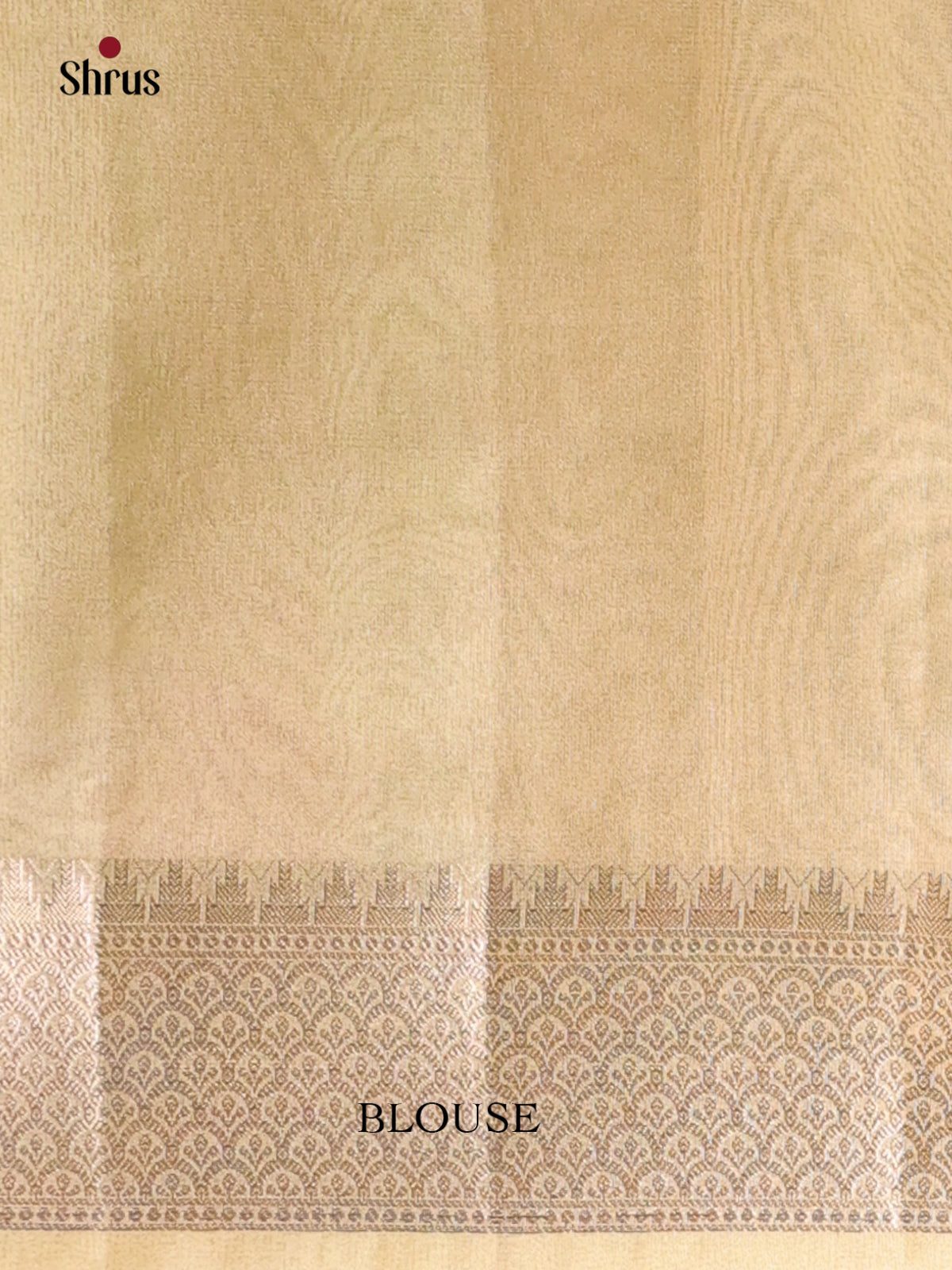 Green- Semi Tissue Saree - Shop on Shrus.com