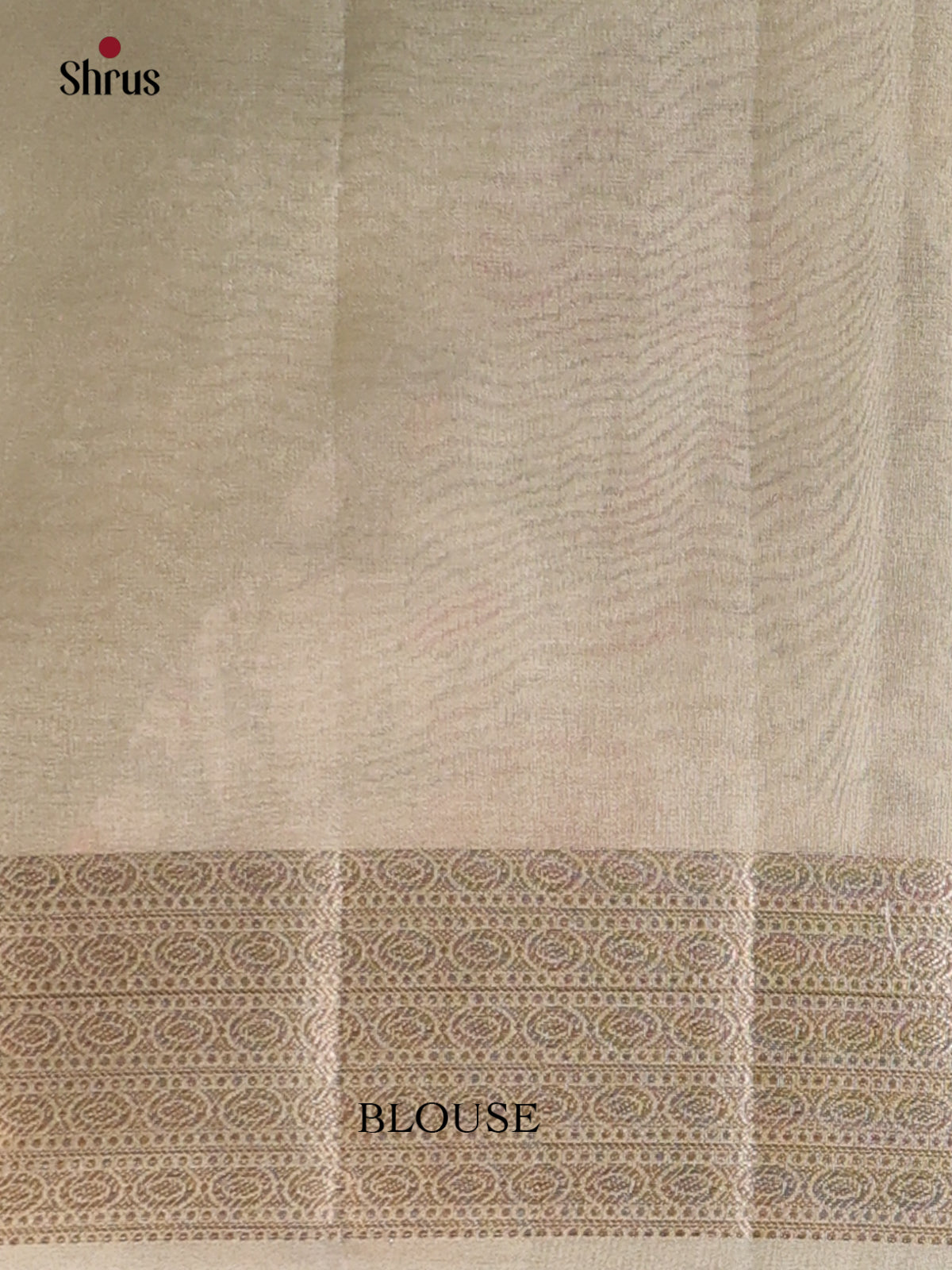 Pastel Green - Semi Tissue Saree - Shop on Shrus.com