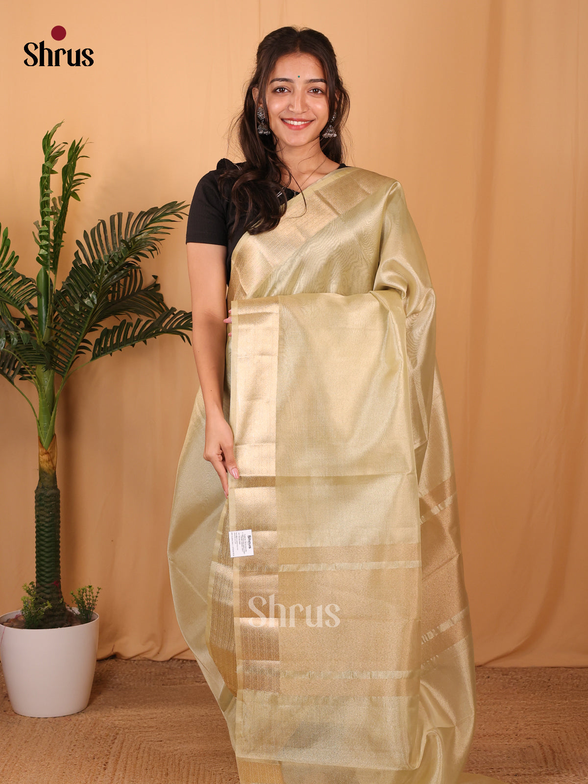 Green - Semi Tissue Saree - Shop on Shrus.com