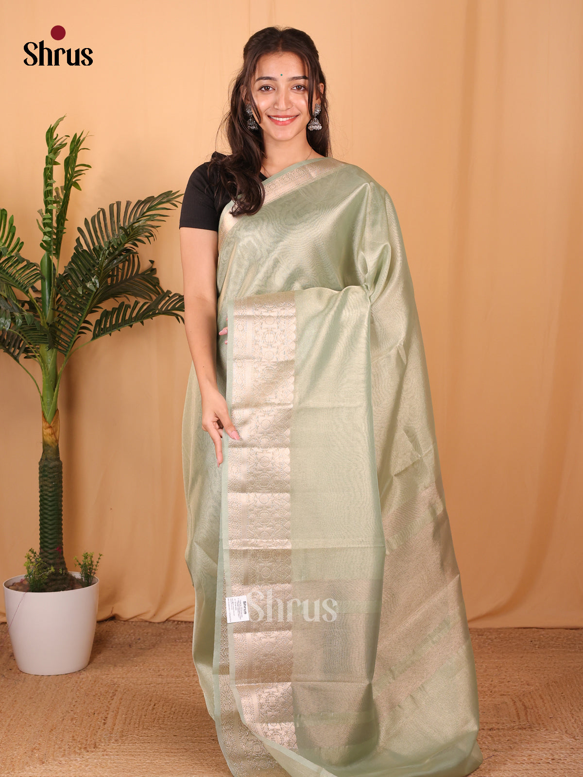 Mint Green - Semi Tissue Saree - Shop on Shrus.com