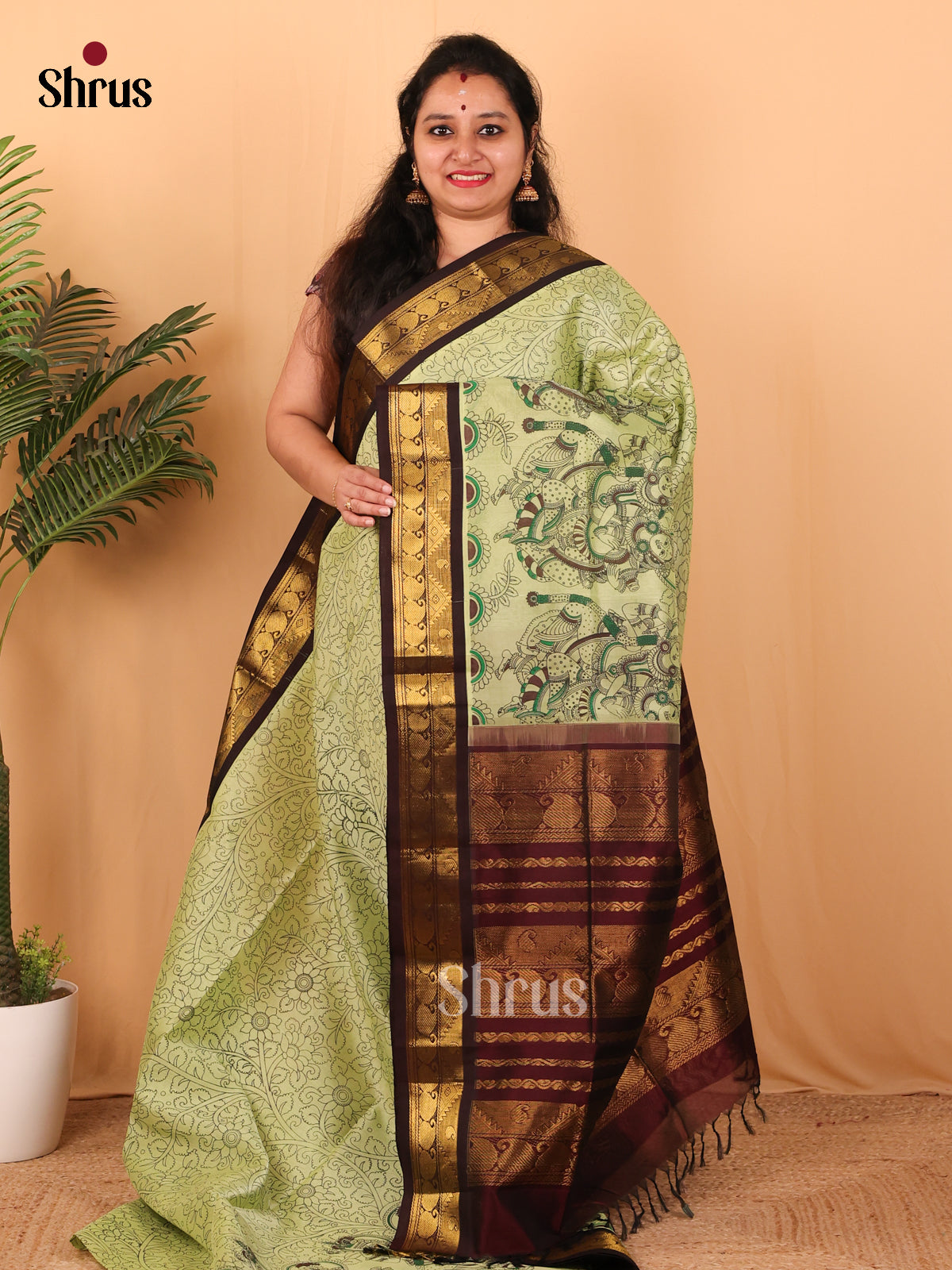 Pastel Green & Brown - Hindolam Saree - Shop on Shrus.com