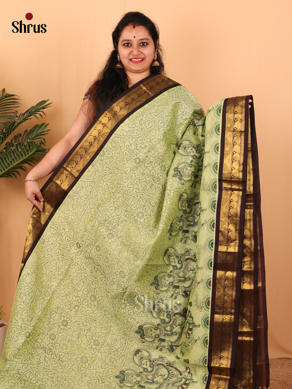 Pastel Green & Brown - Hindolam Saree - Shop on Shrus.com