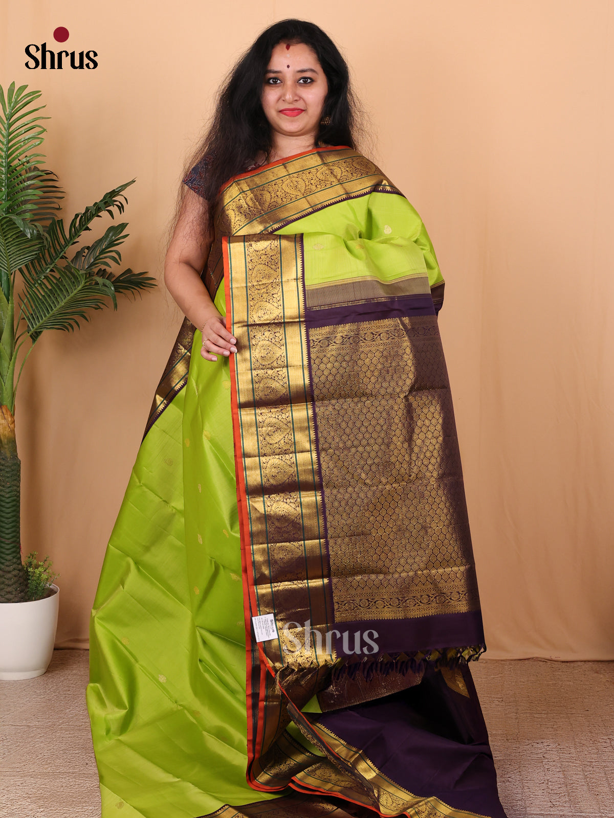 Exquisitely Green and Violet Pure Kanchipuram silk Saree Featuring Zari Woven Buttas-1