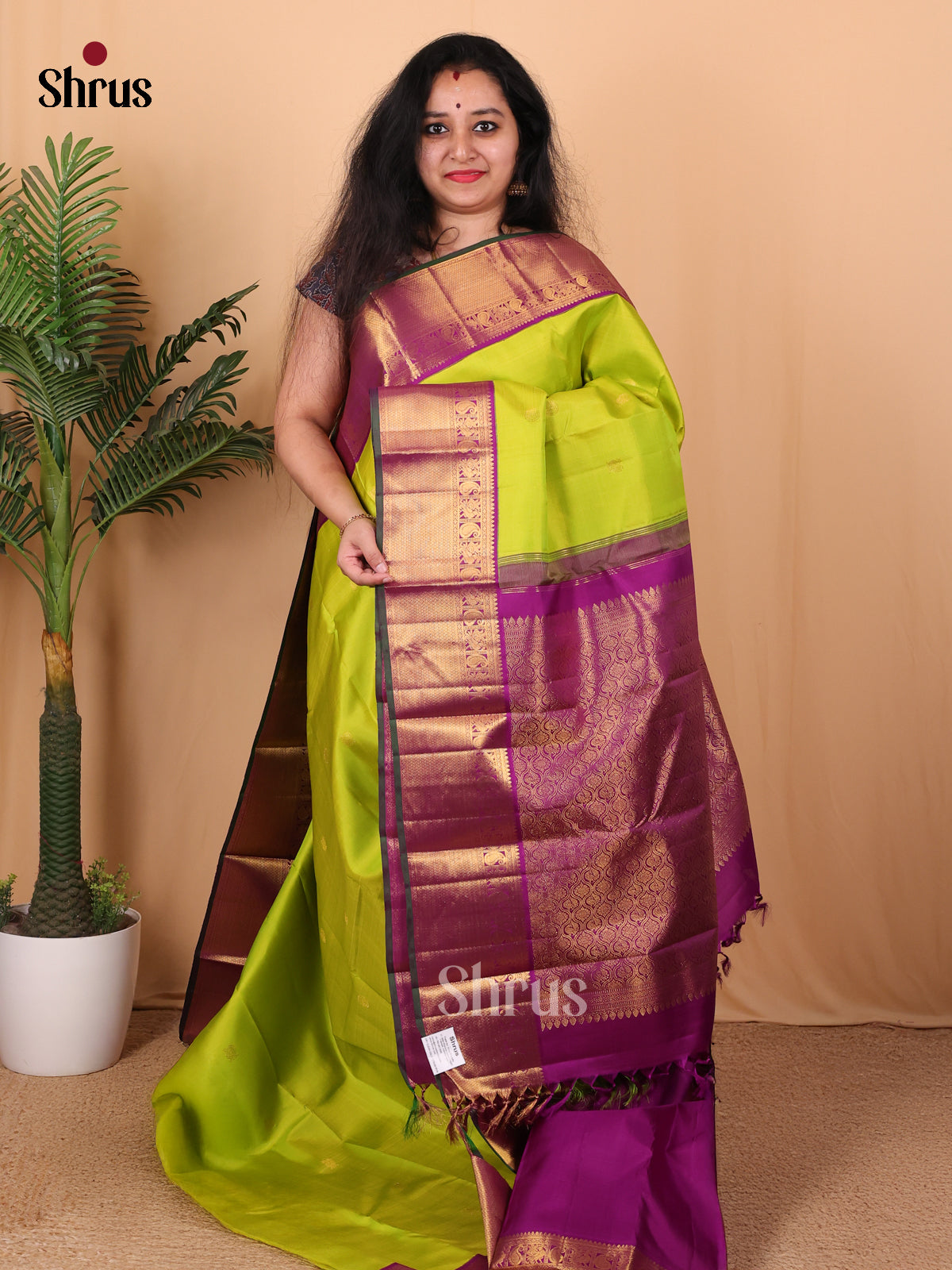Lite Green & Purple - Kanchipuram silk Saree - Shop on Shrus.com