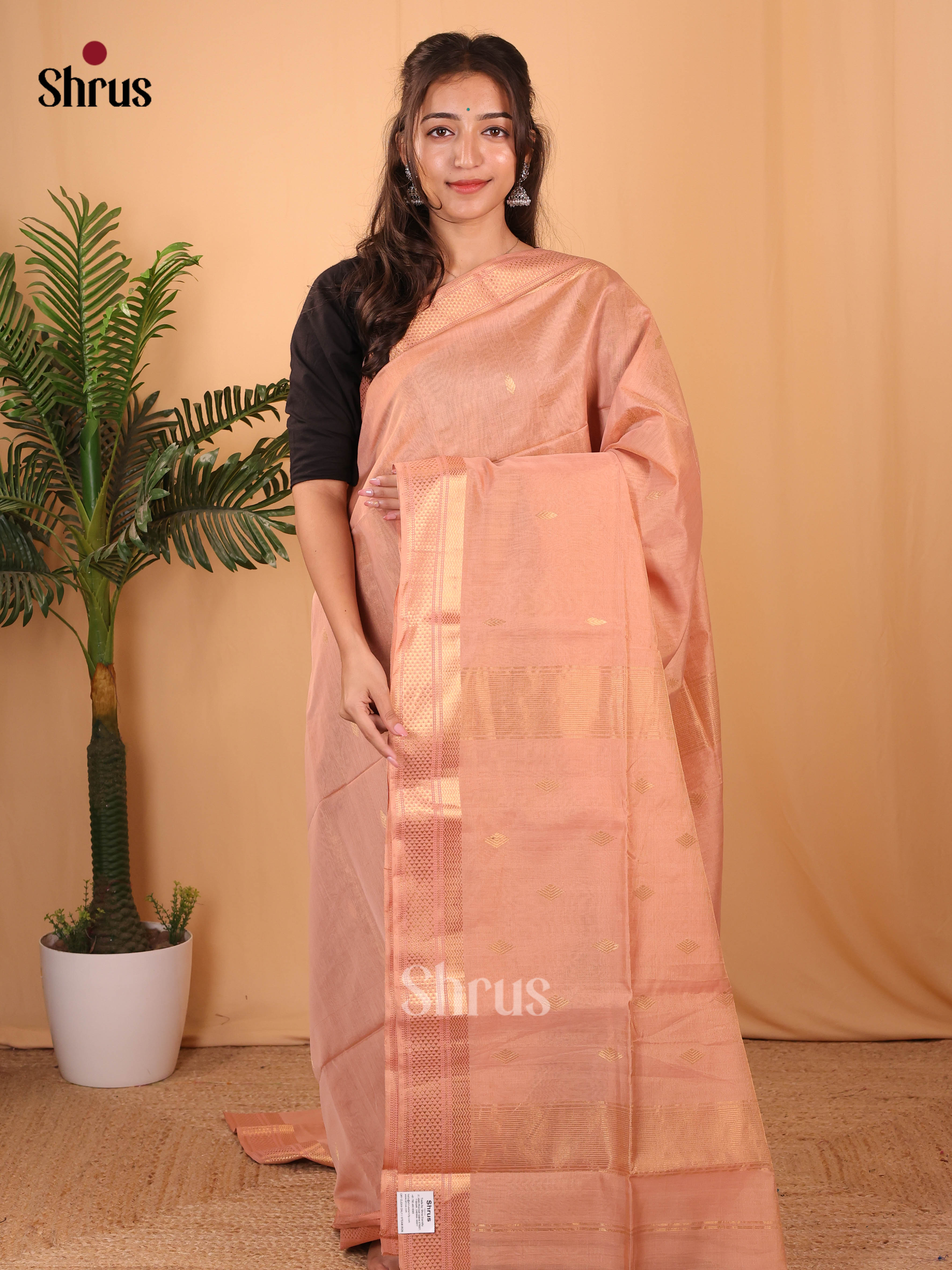 Dusty Pink(Single Tone) - Maheshwari silkcotton Saree - Shop on Shrus.com