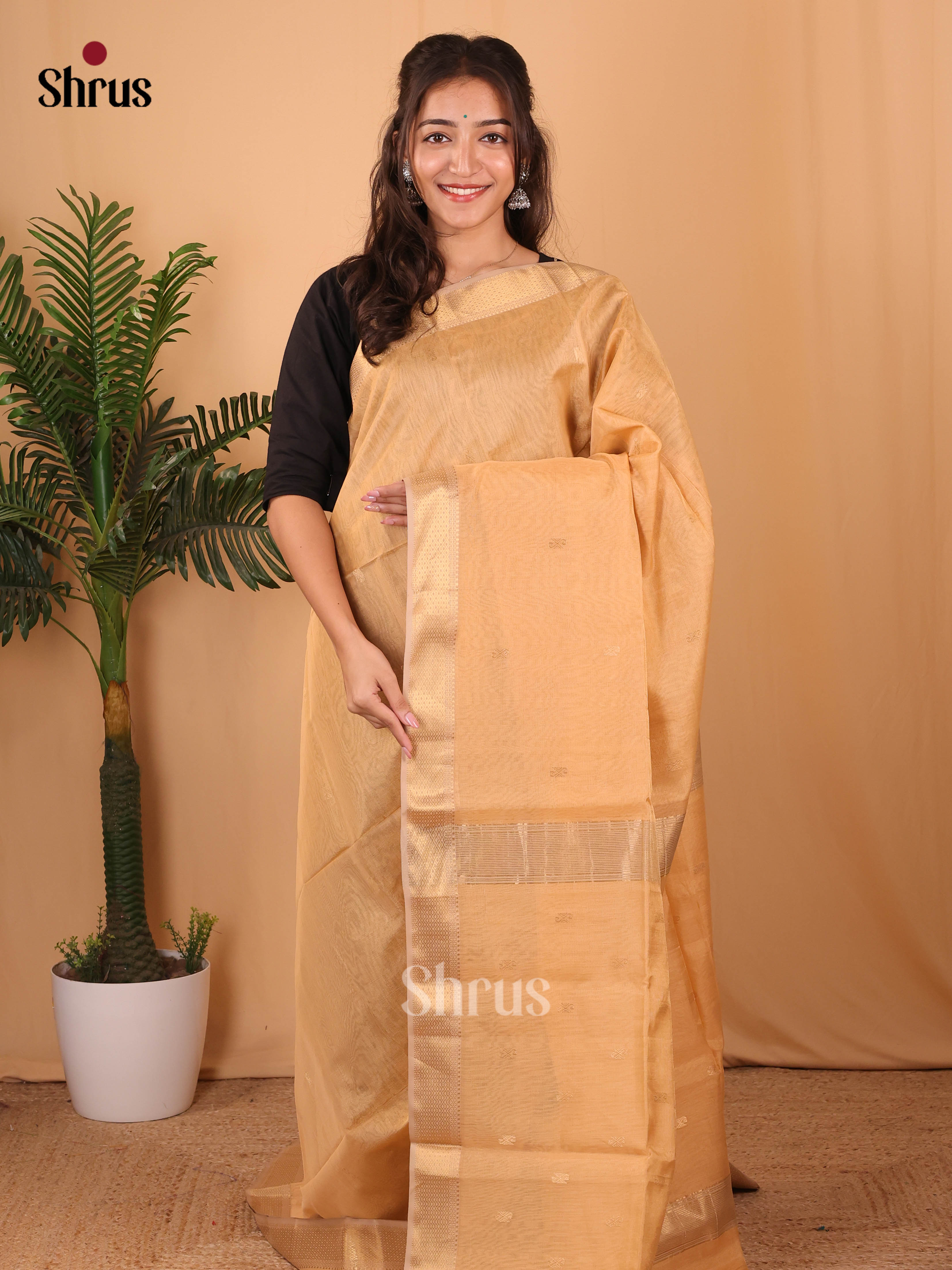 Sandal(Single Tone)- Maheshwari silkcotton Saree - Shop on Shrus.com