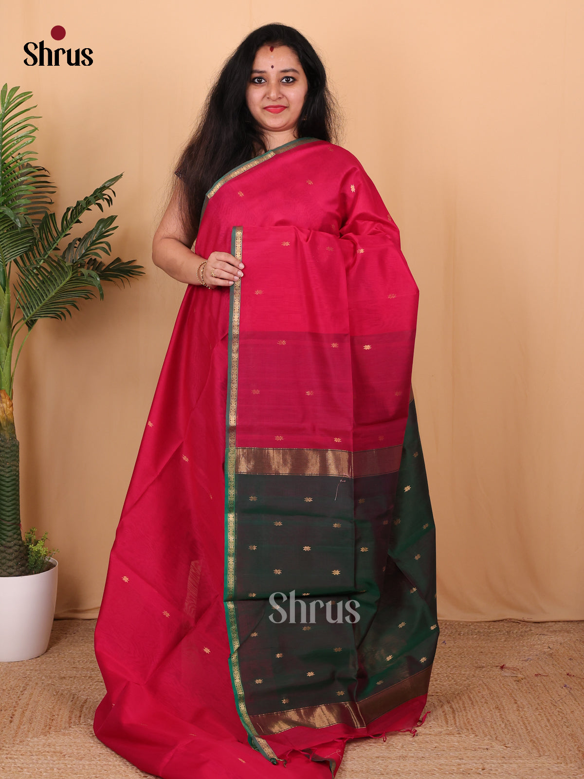 Pink & Green - Maheshwari silkcotton Saree - Shop on Shrus.com