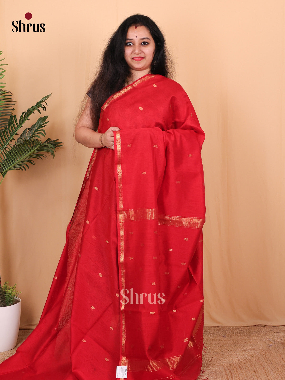 Red(single Tone) - Maheshwari silkcotton Saree - Shop on Shrus.com