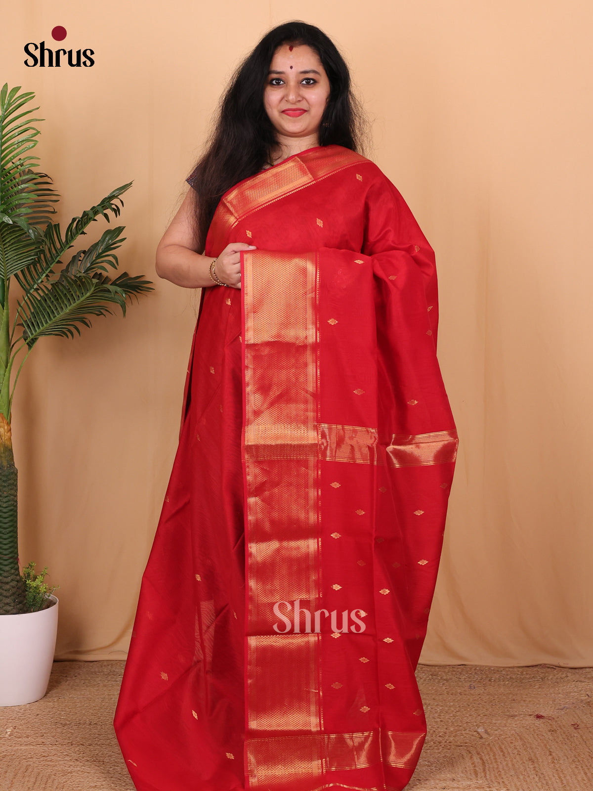 Red(Single Tone) - Maheshwari silkcotton Saree - Shop on Shrus.com