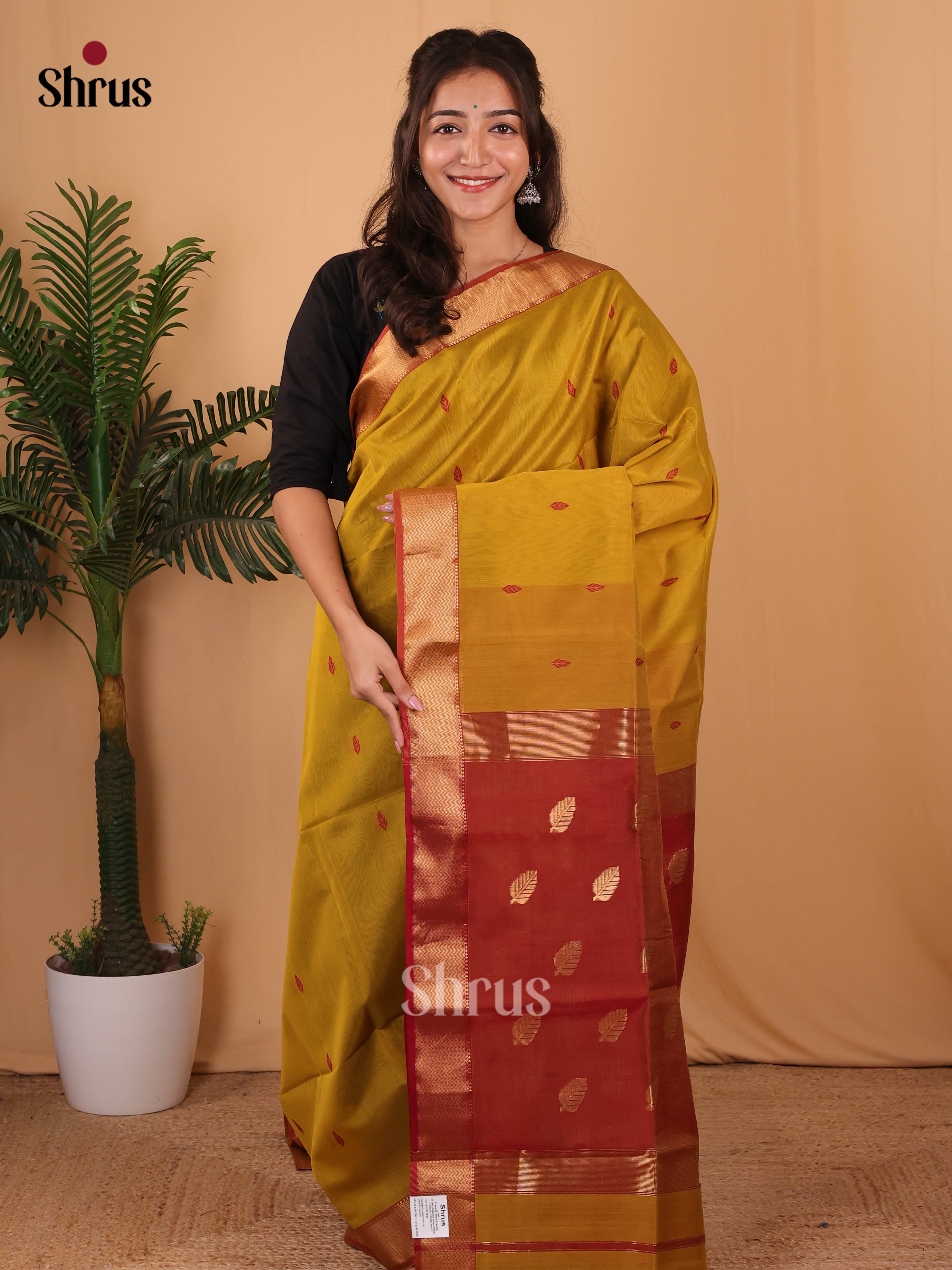 Mustardy Green & Red - Maheshwari silkcotton Saree - Shop on Shrus.com