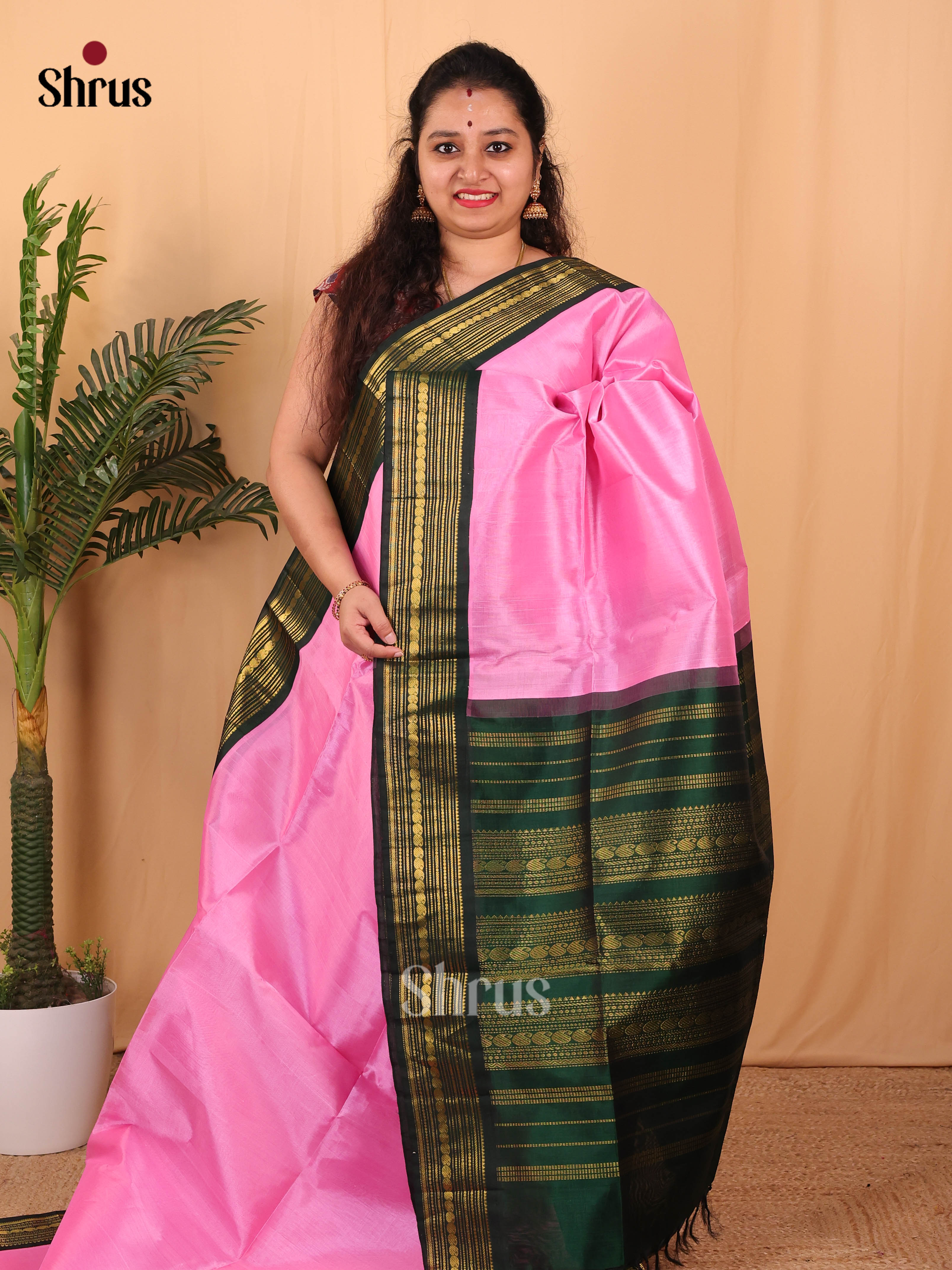 Pink & Green - Silk Cotton Saree - Shop on Shrus.com