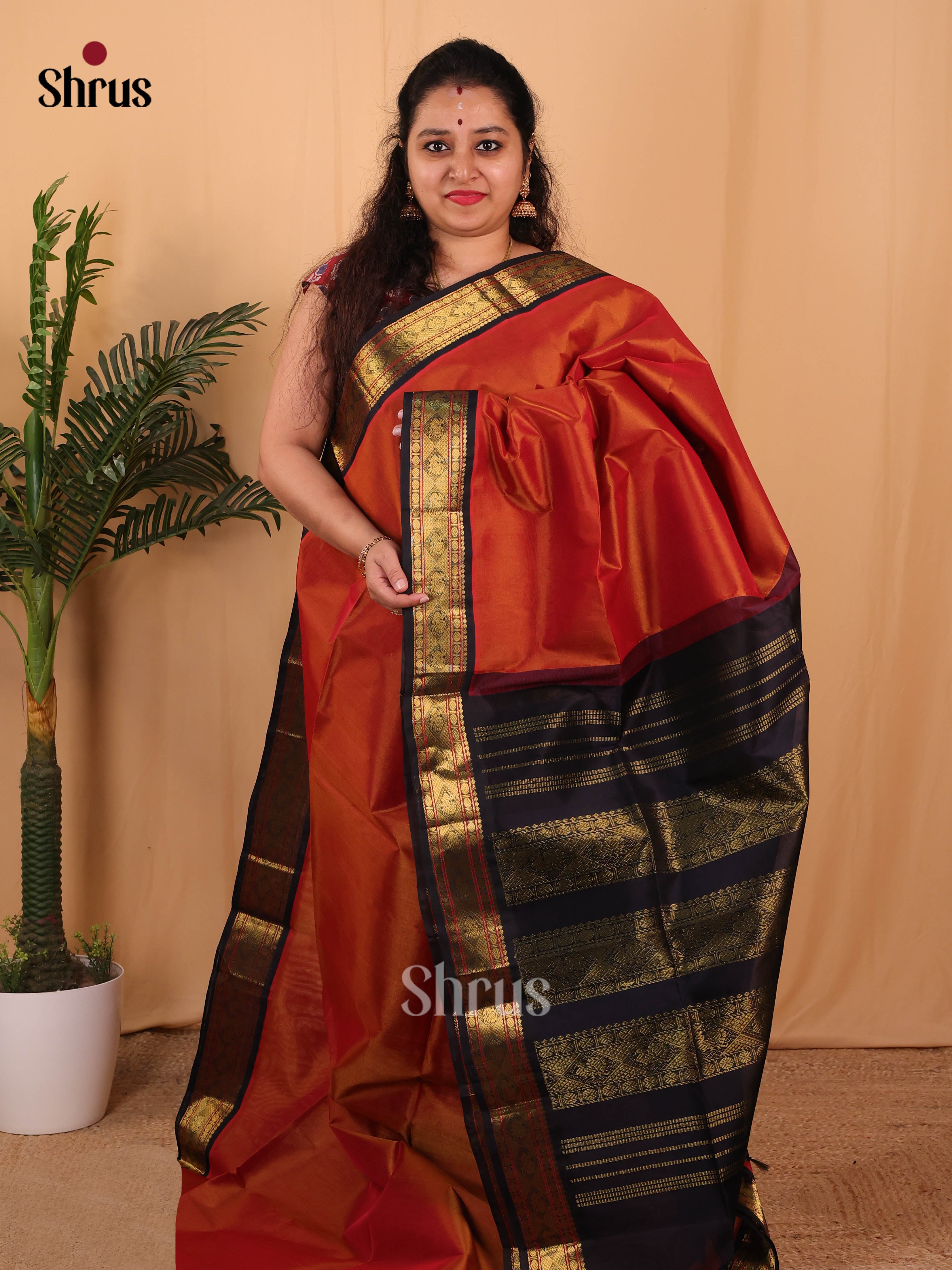 Rust & Blue- Silk Cotton Saree - Shop on Shrus.com