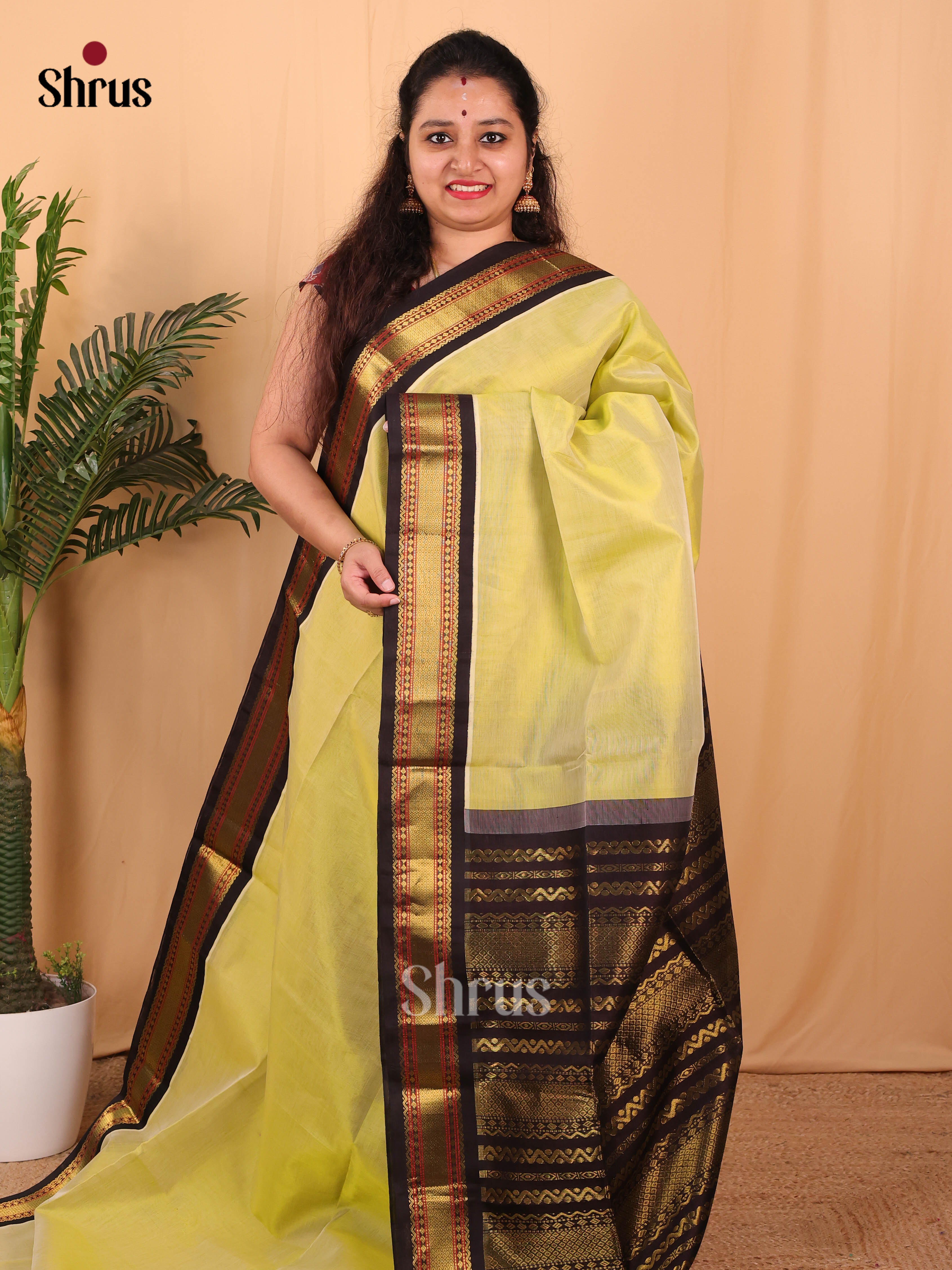 Lite Green & Brown- Silk Cotton Saree - Shop on Shrus.com