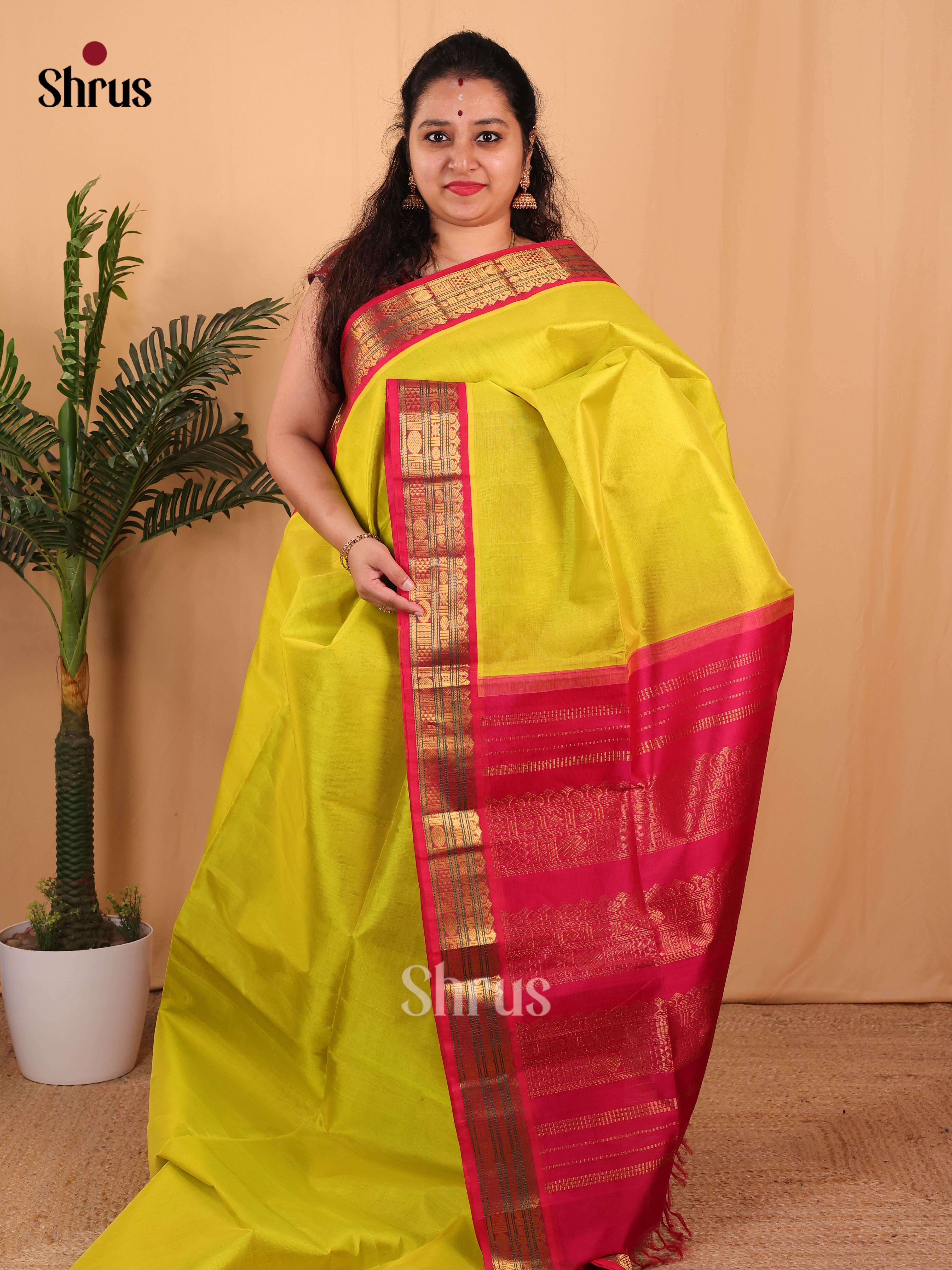 Lite Green & Maroon - Silk Cotton Saree - Shop on Shrus.com