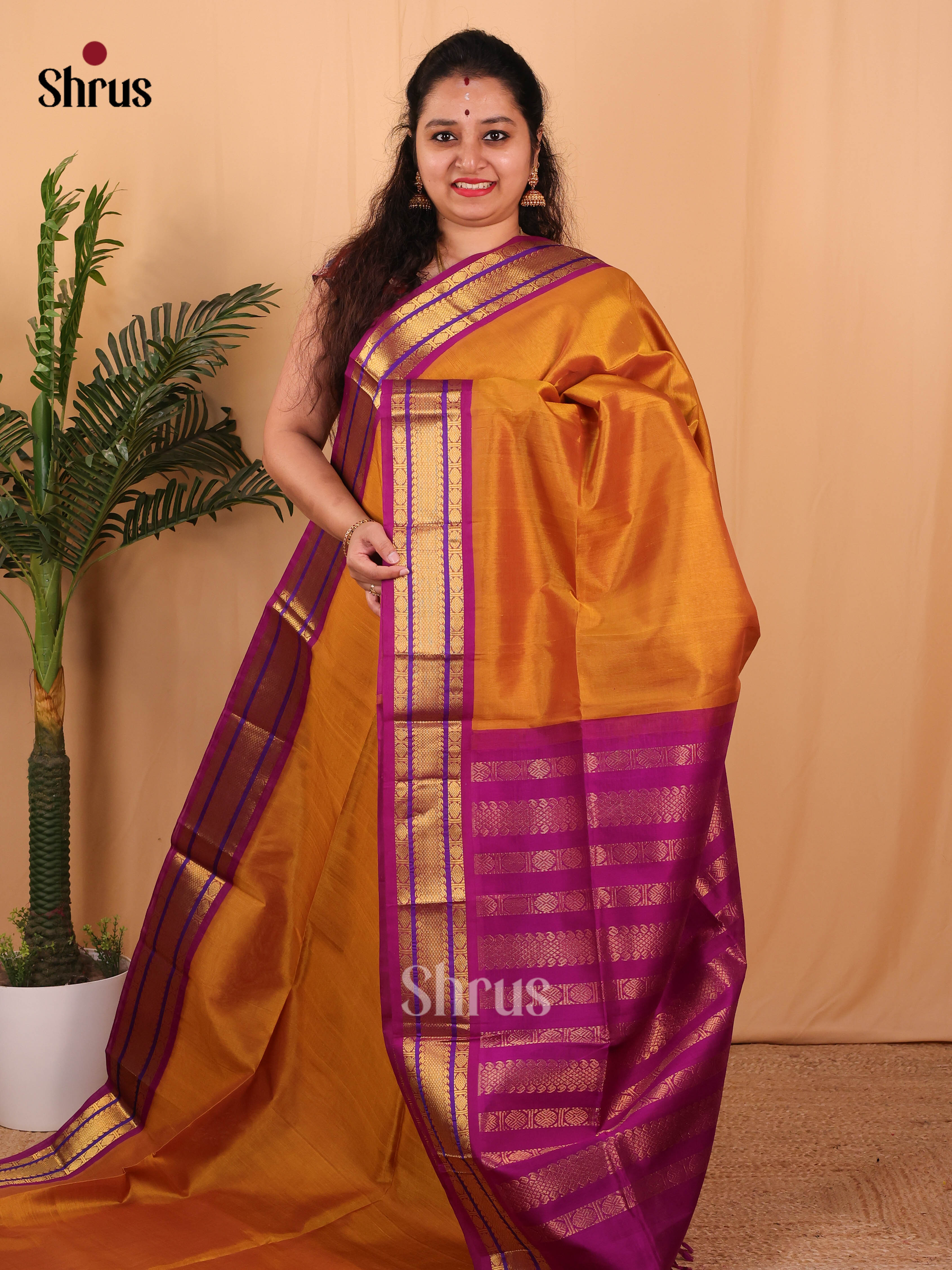 Dark Mustard & Purple - Silk Cotton Saree - Shop on Shrus.com