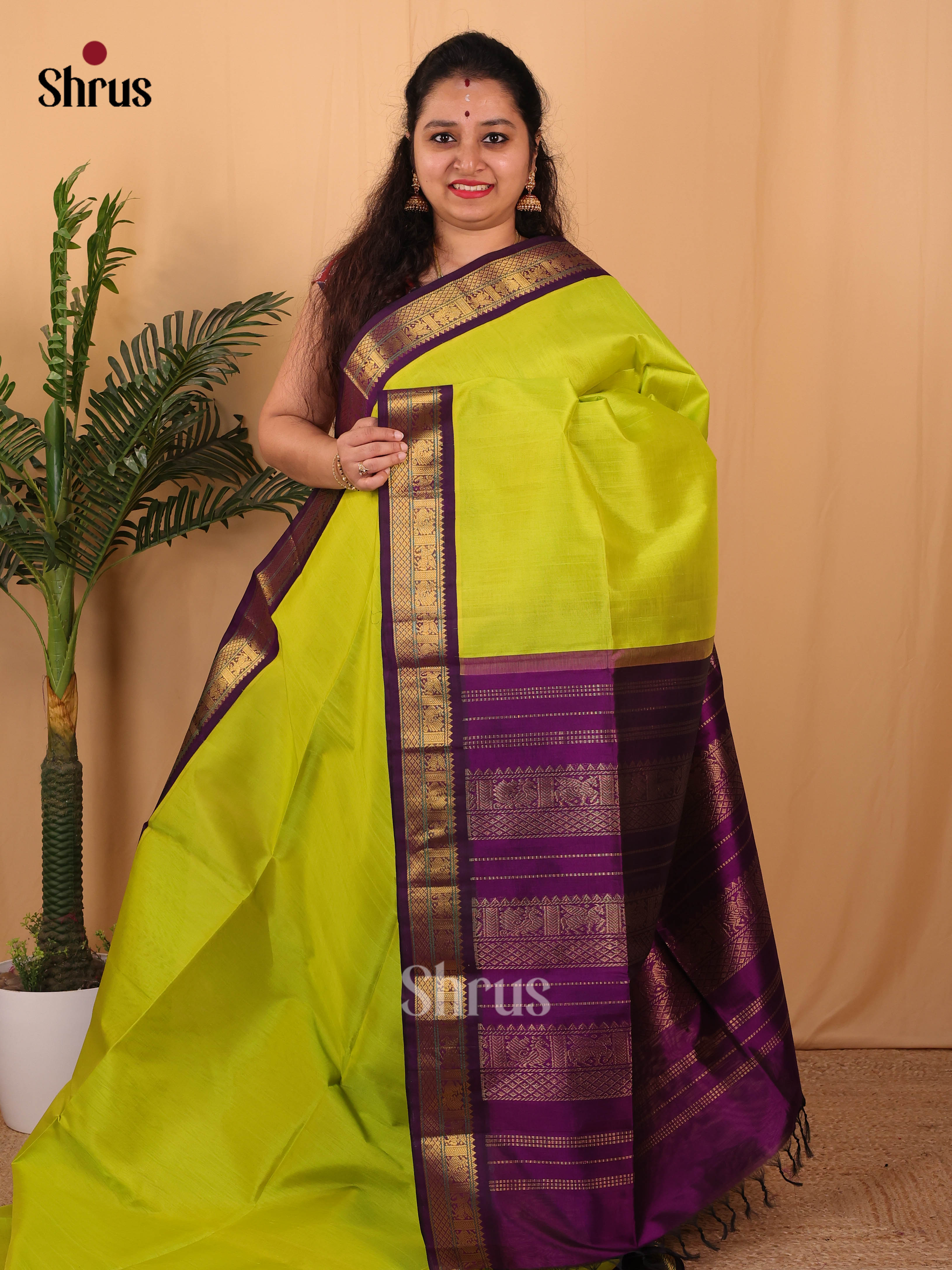 Green & Violet - Silk Cotton Saree - Shop on Shrus.com