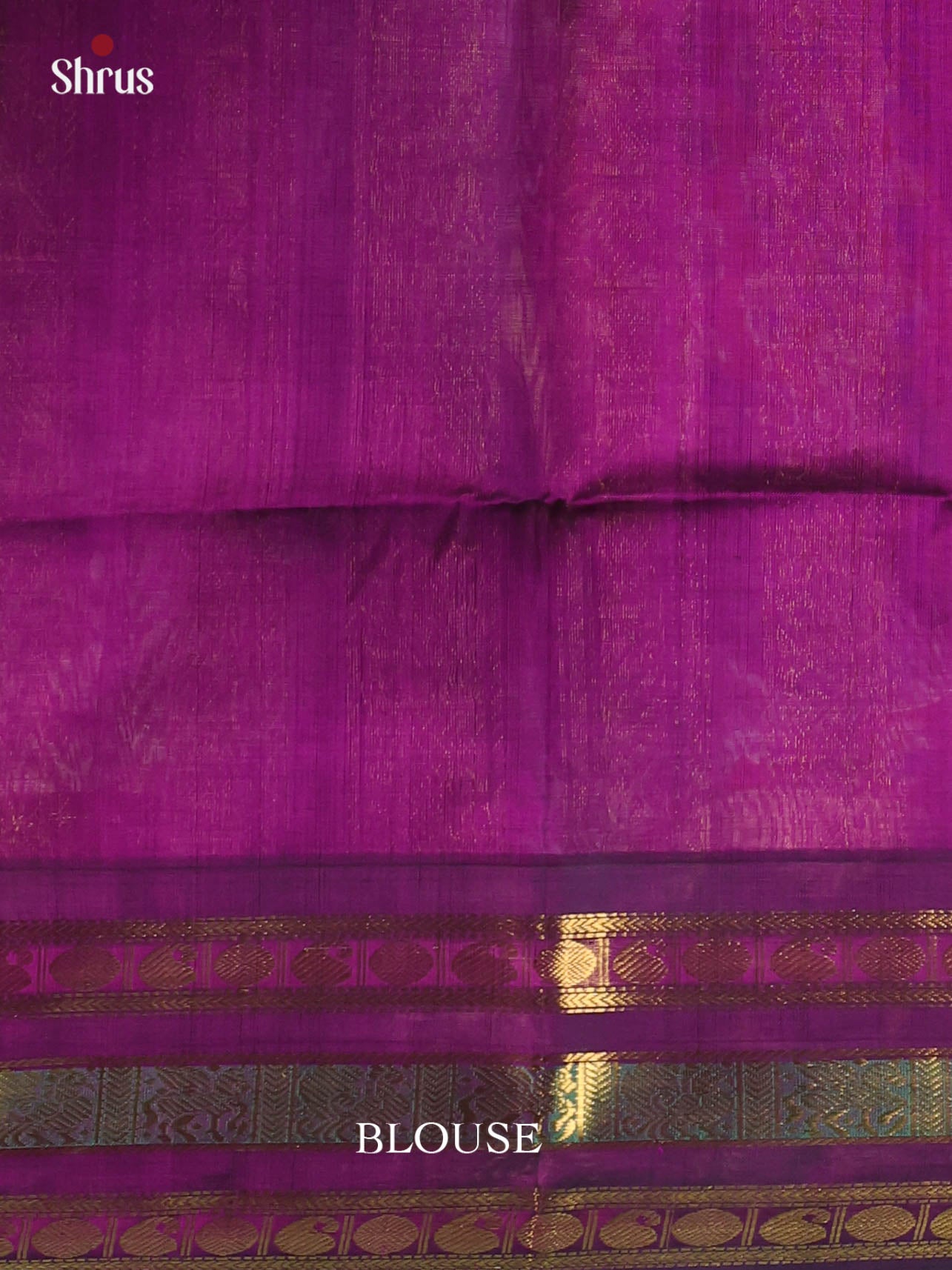 Pista Green & Violet - Silk Cotton Saree - Shop on Shrus.com