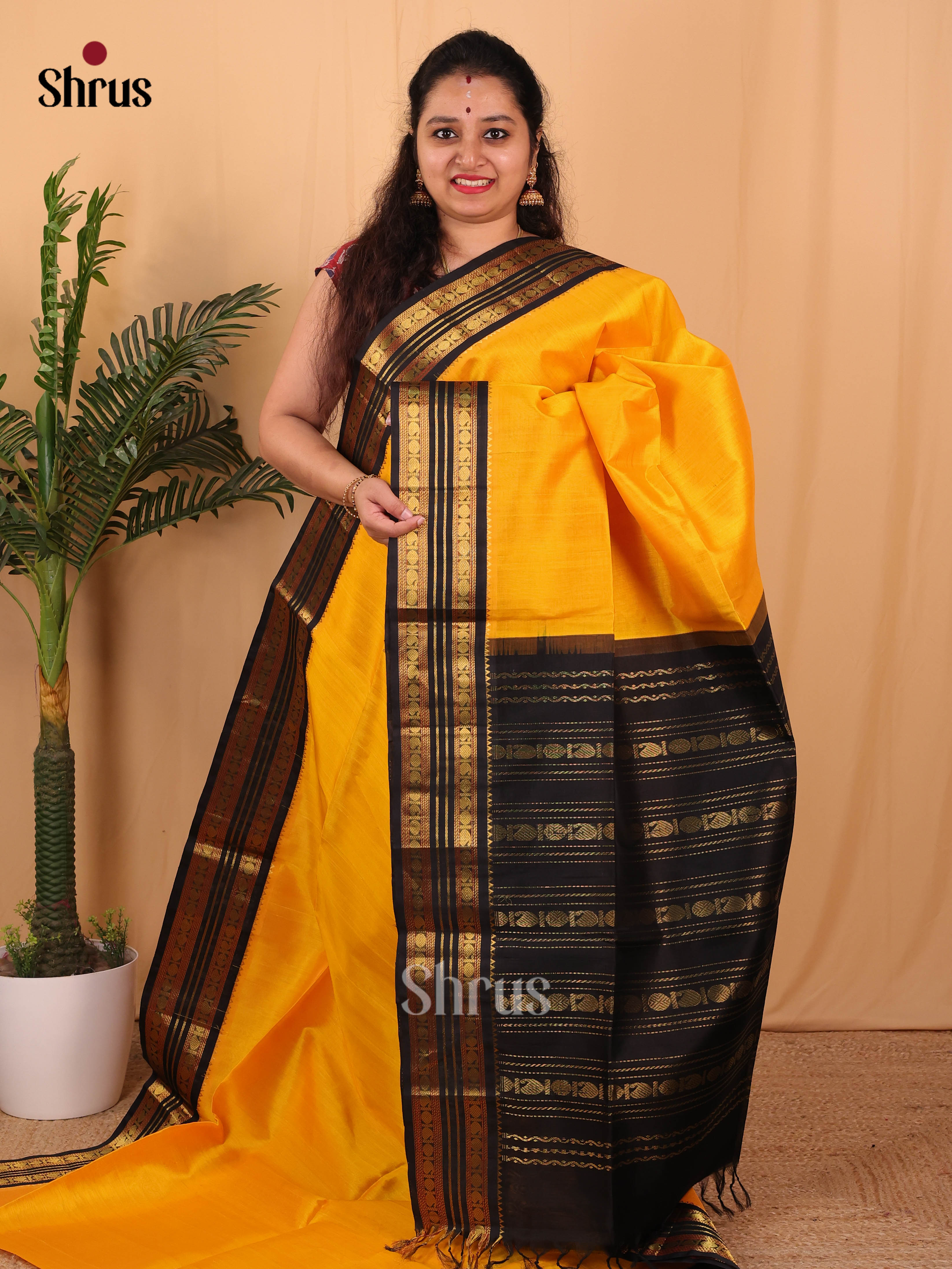 Mustard & Black - Silk Cotton Saree - Shop on Shrus.com