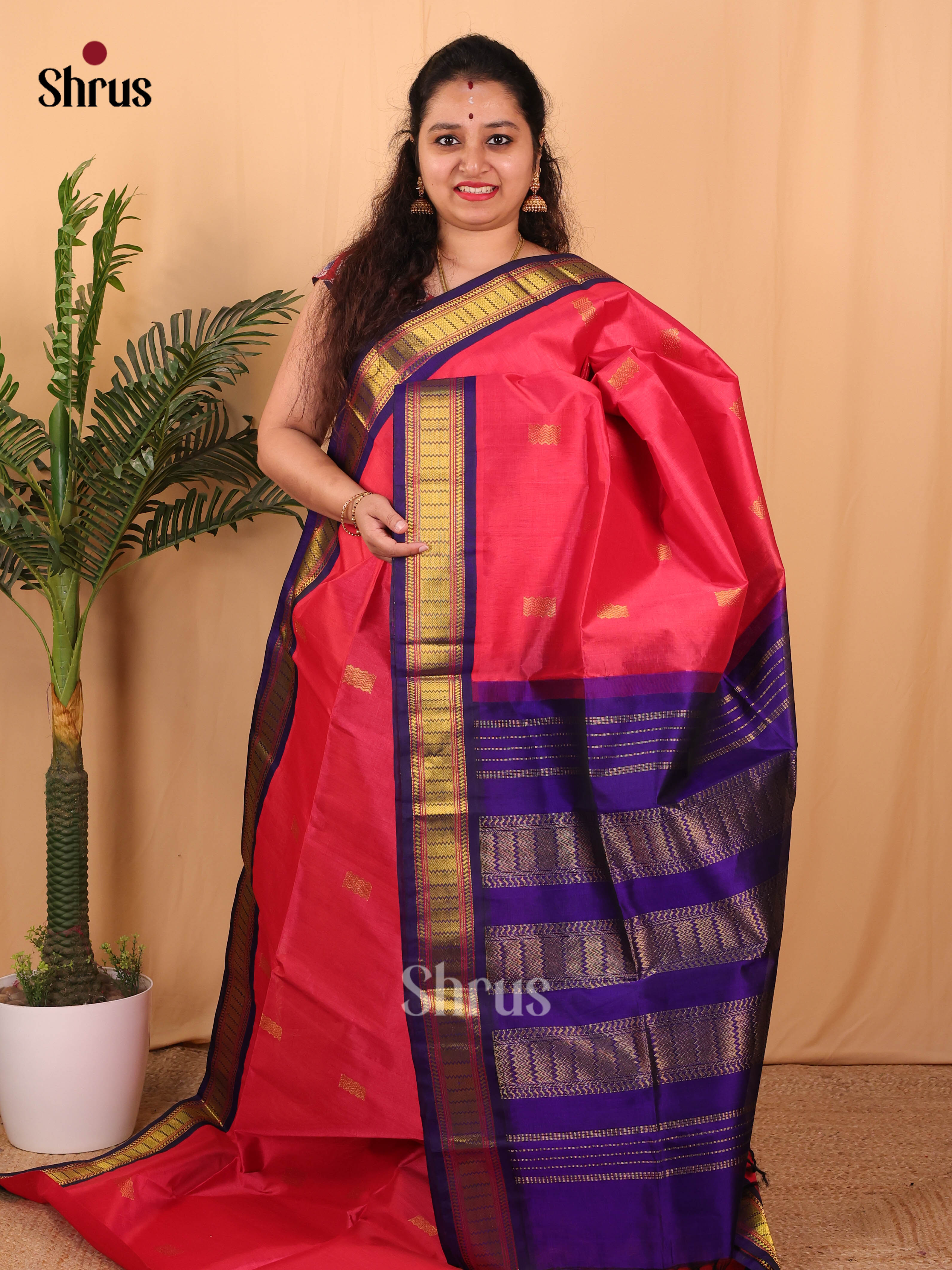 Reddish Pink & Violet- Silk Cotton Saree - Shop on Shrus.com