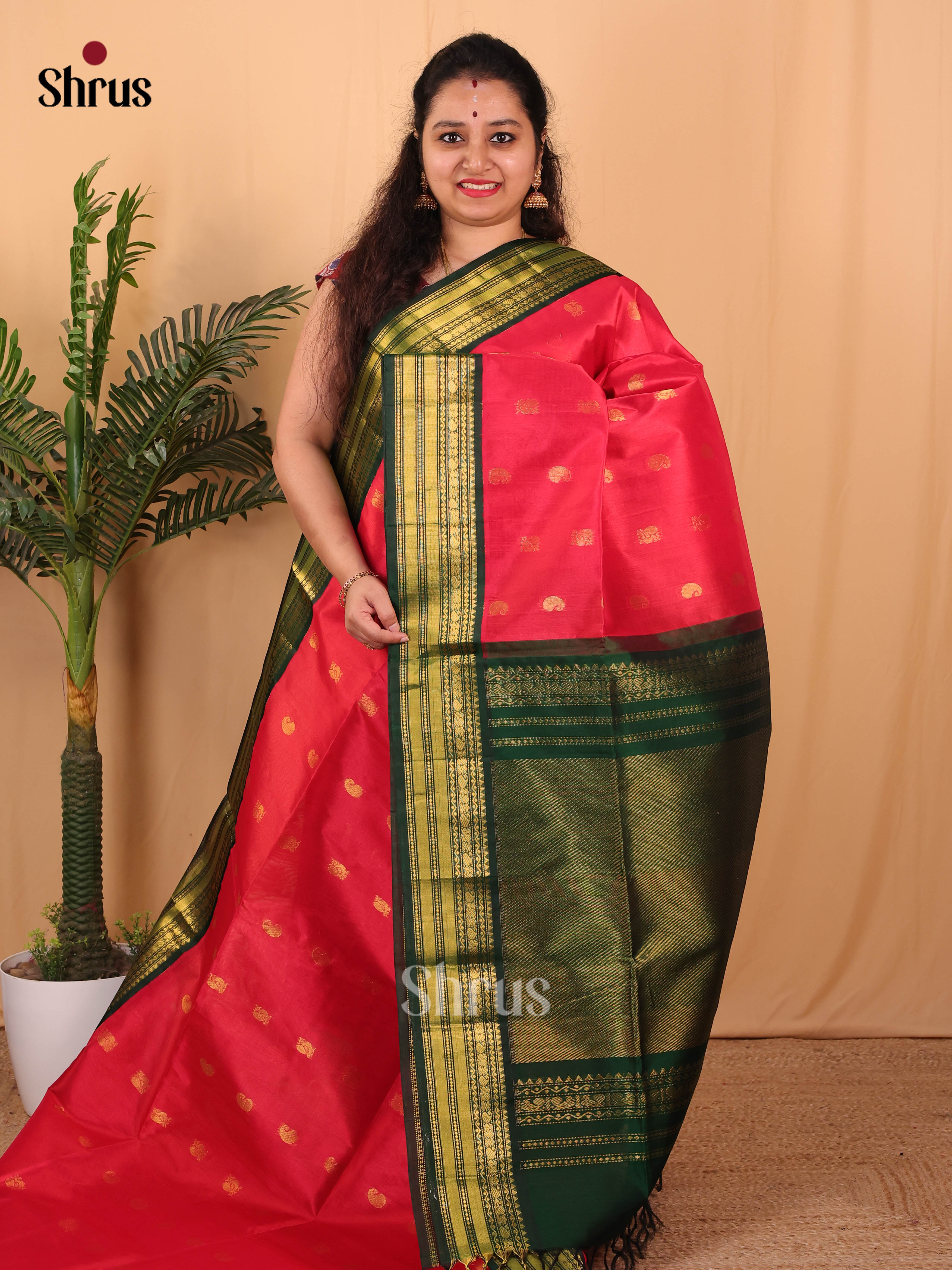 Red & Green - Silk Cotton Saree - Shop on Shrus.com