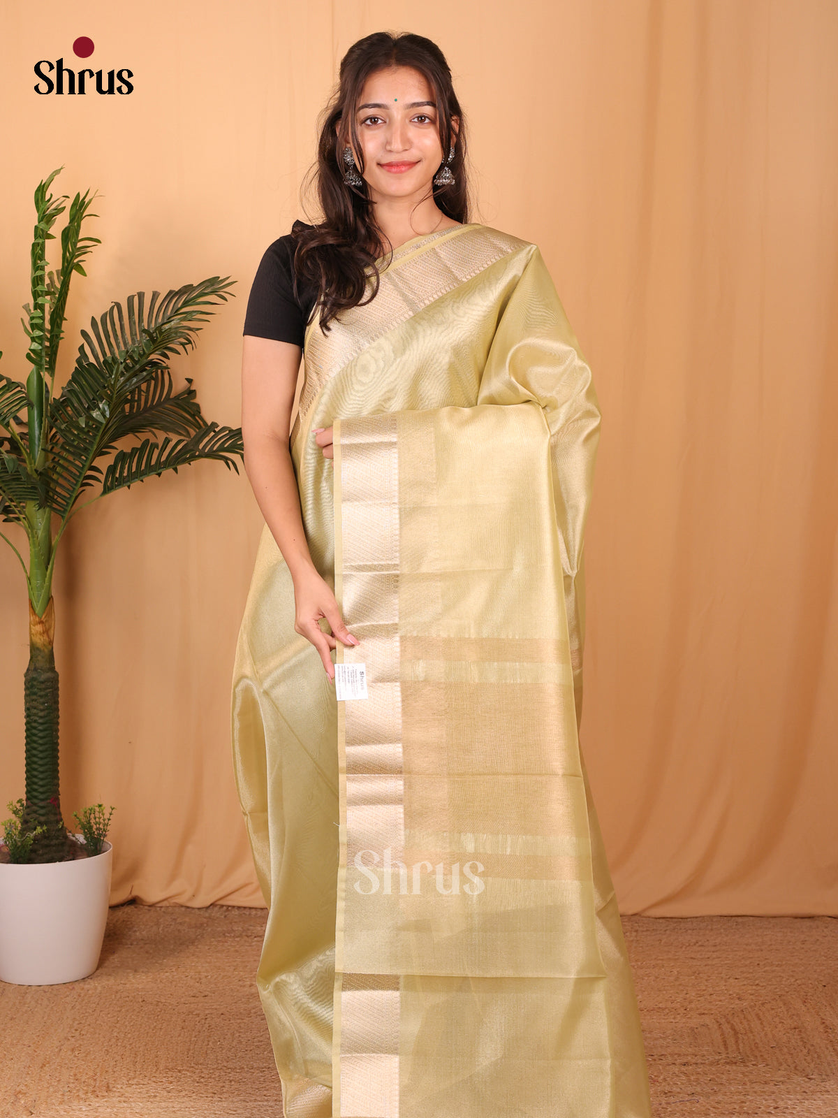 Goldish Green - Semi Tissue Saree - Shop on Shrus.com