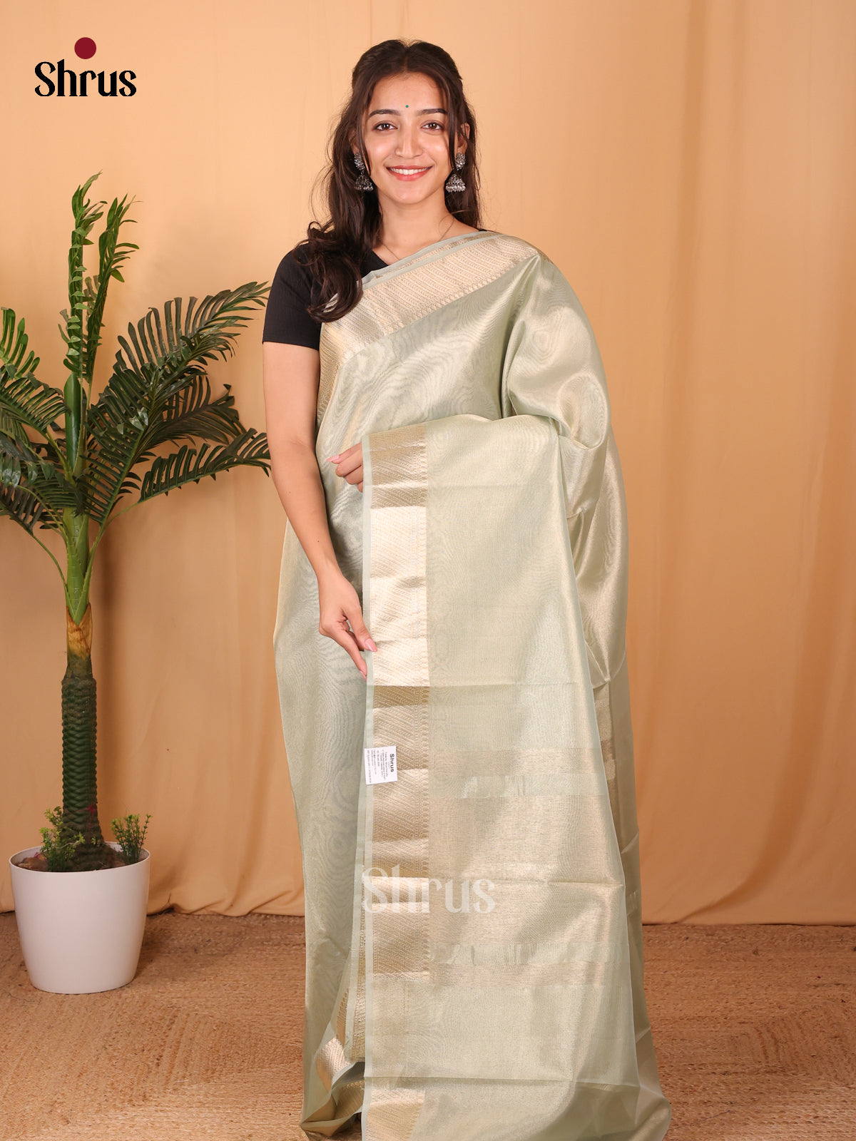 Mint Green - Semi Tissue Saree - Shop on Shrus.com