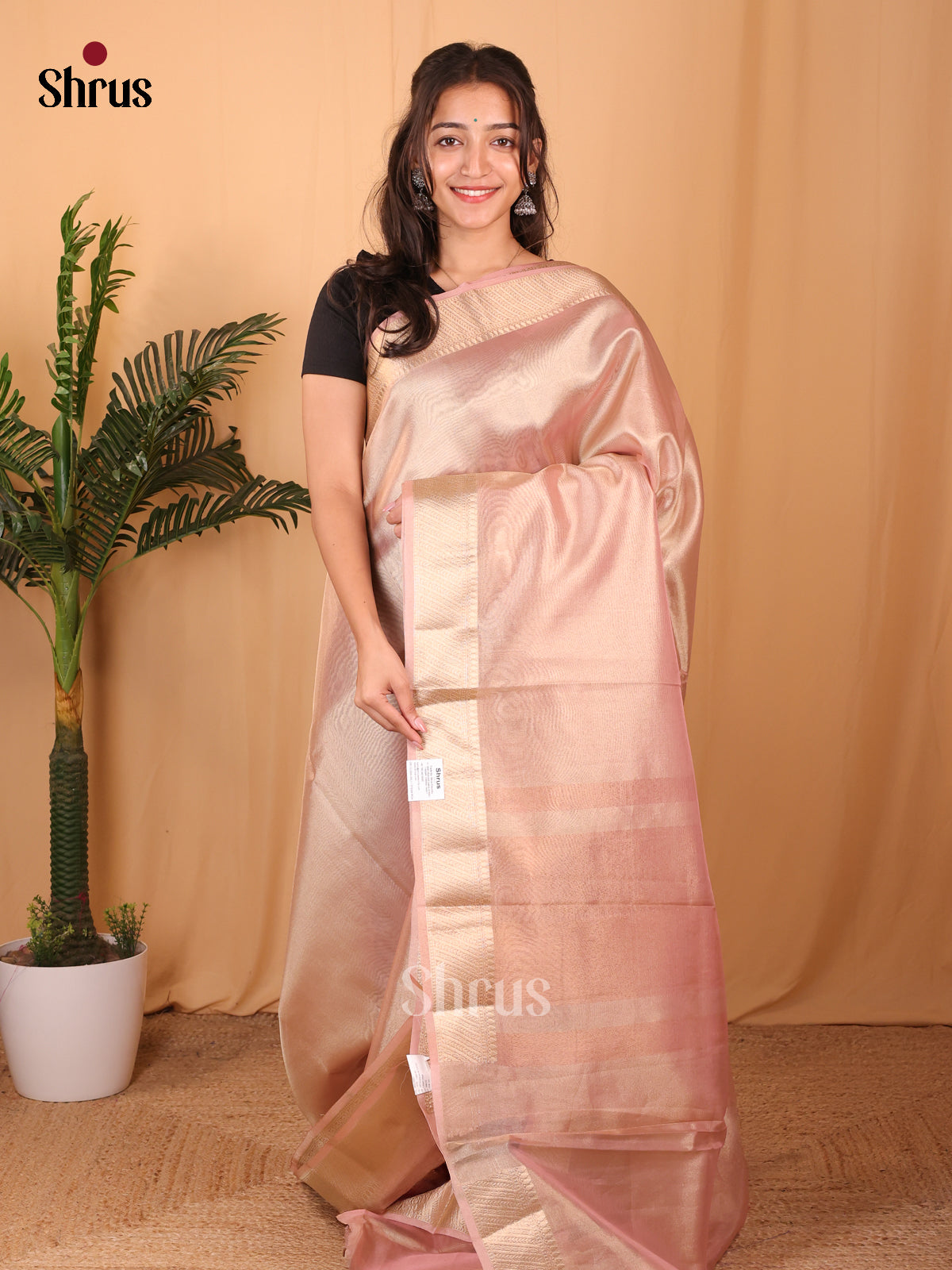 Paechish Pink - Semi Tissue Saree - Shop on Shrus.com