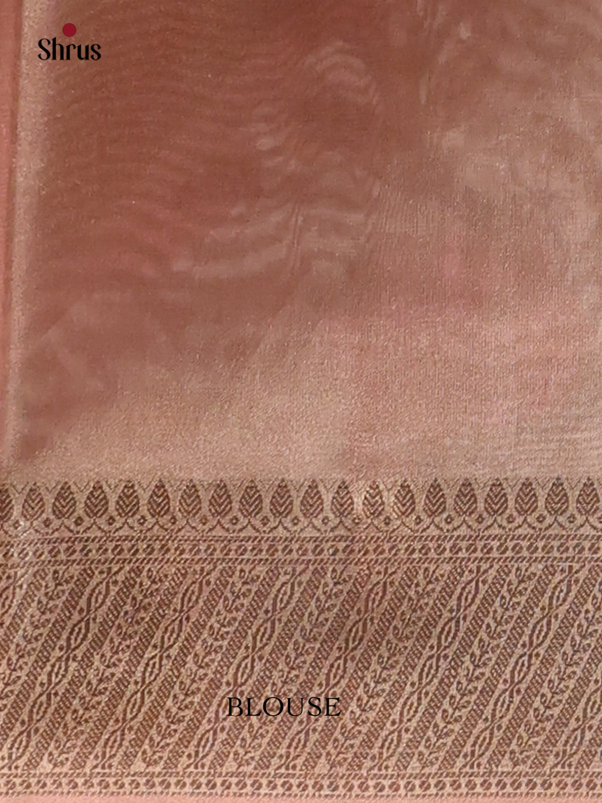 Paechish Pink - Semi Tissue Saree - Shop on Shrus.com