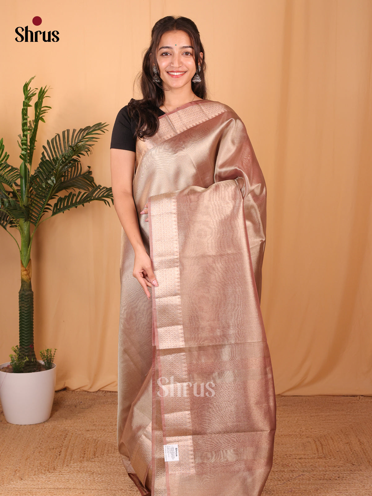 Goldish Brown - Semi Tissue Saree - Shop on Shrus.com