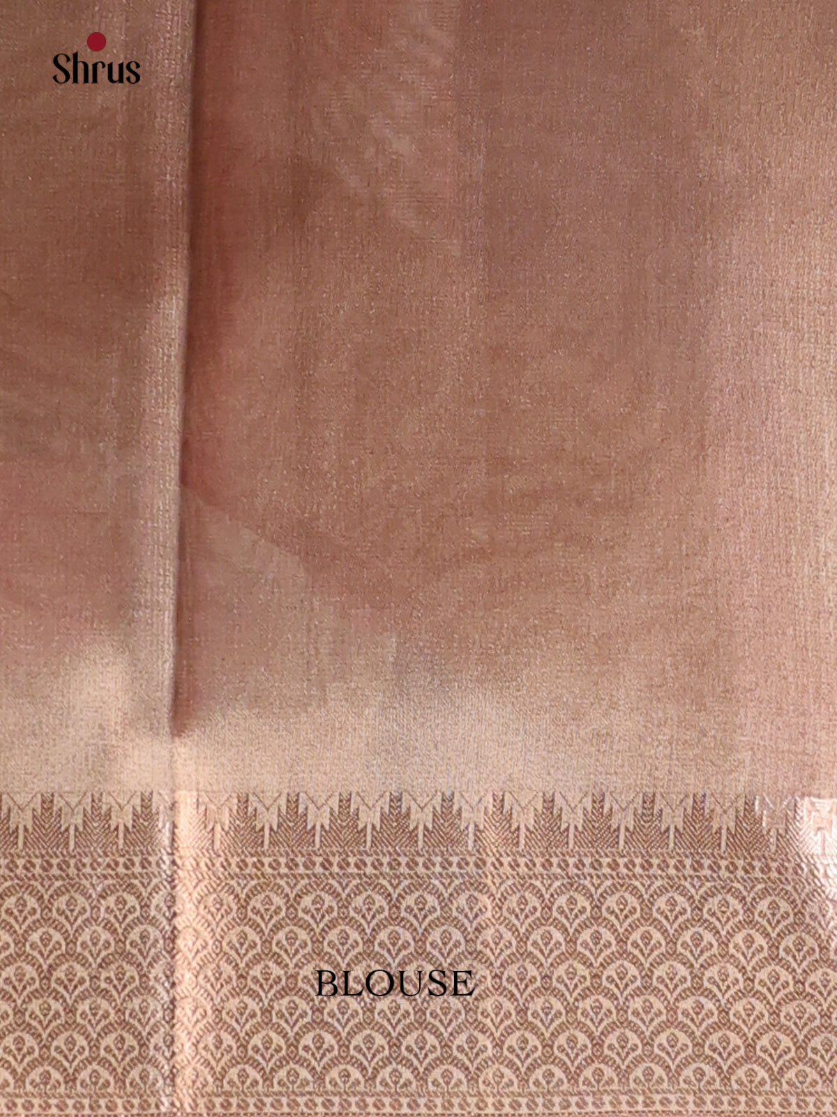 Goldish Brown - Semi Tissue Saree - Shop on Shrus.com