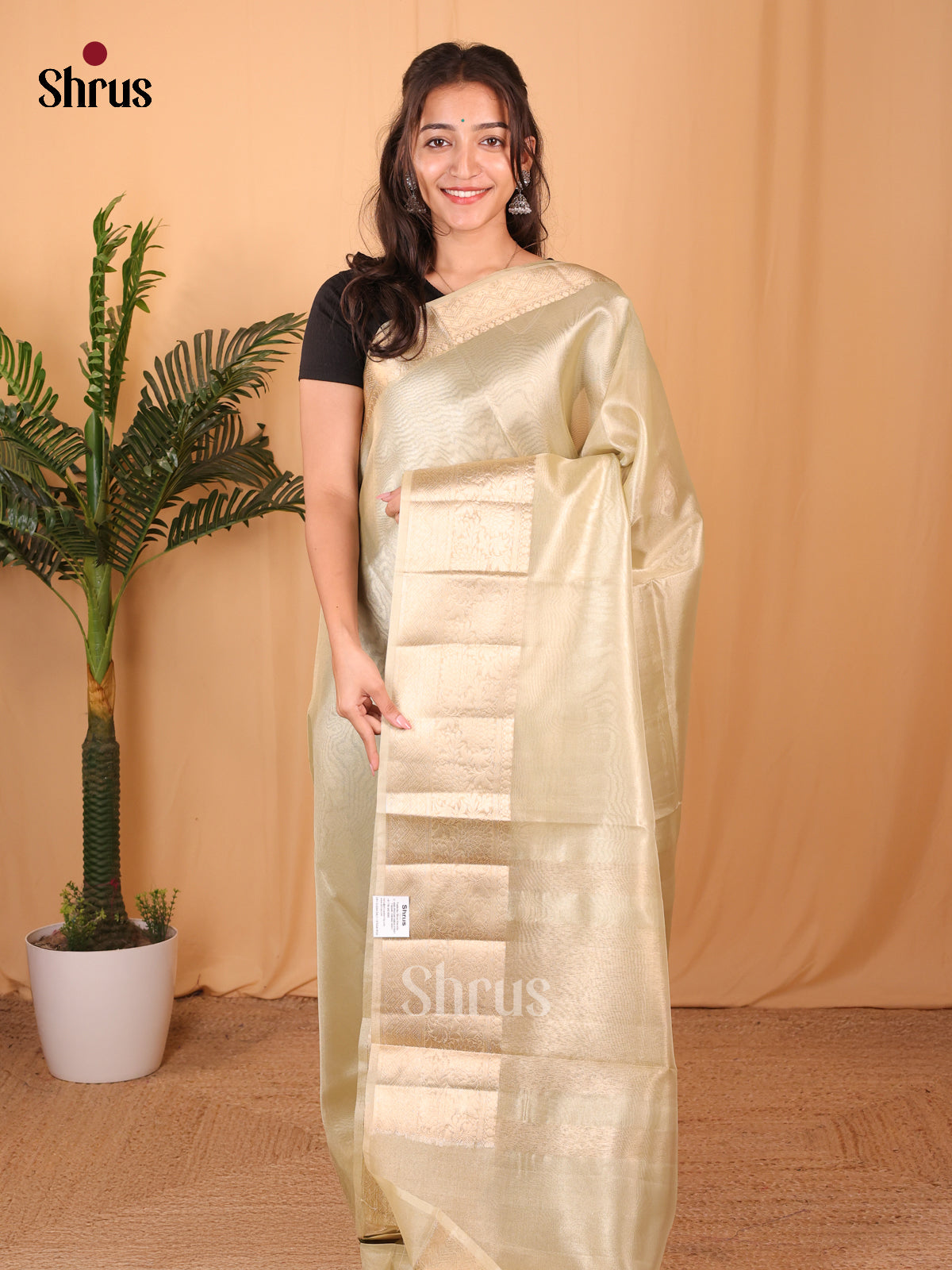 Goldish Green - Semi Tissue Saree - Shop on Shrus.com