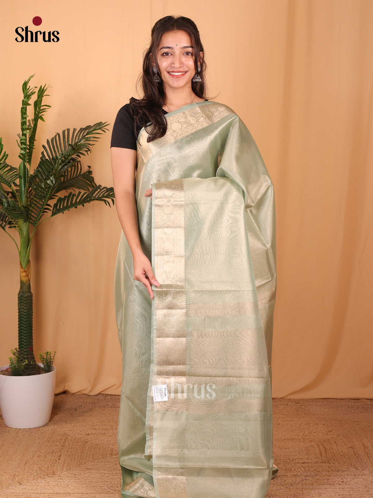 Lite Green - Semi Tissue Saree - Shop on Shrus.com