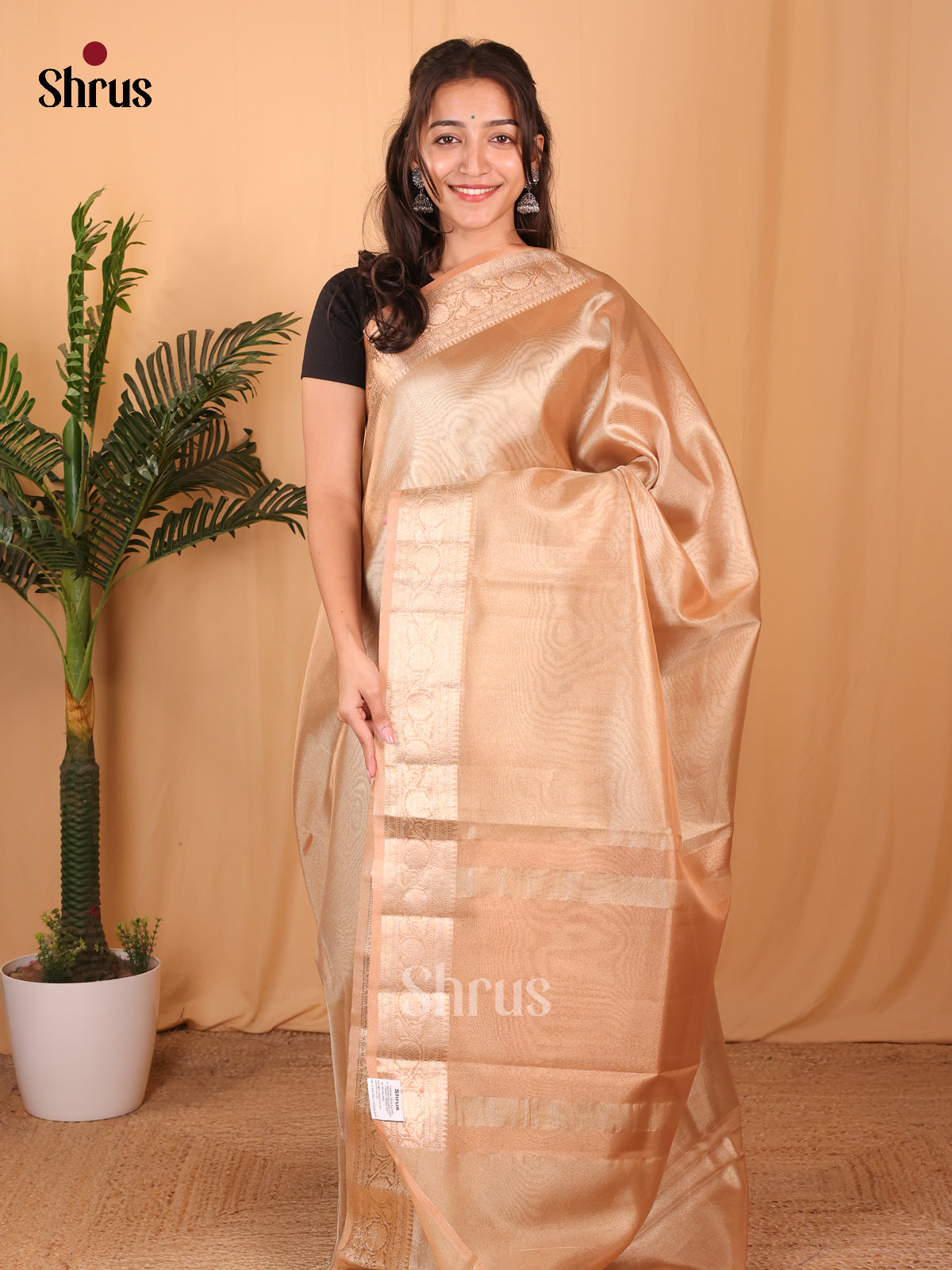 Orange - Semi Tissue Saree - Shop on Shrus.com