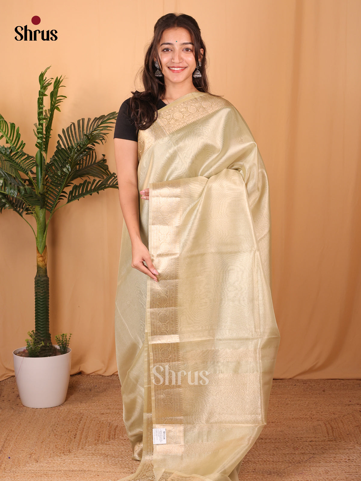 Lite Green- Semi Tissue Saree - Shop on Shrus.com