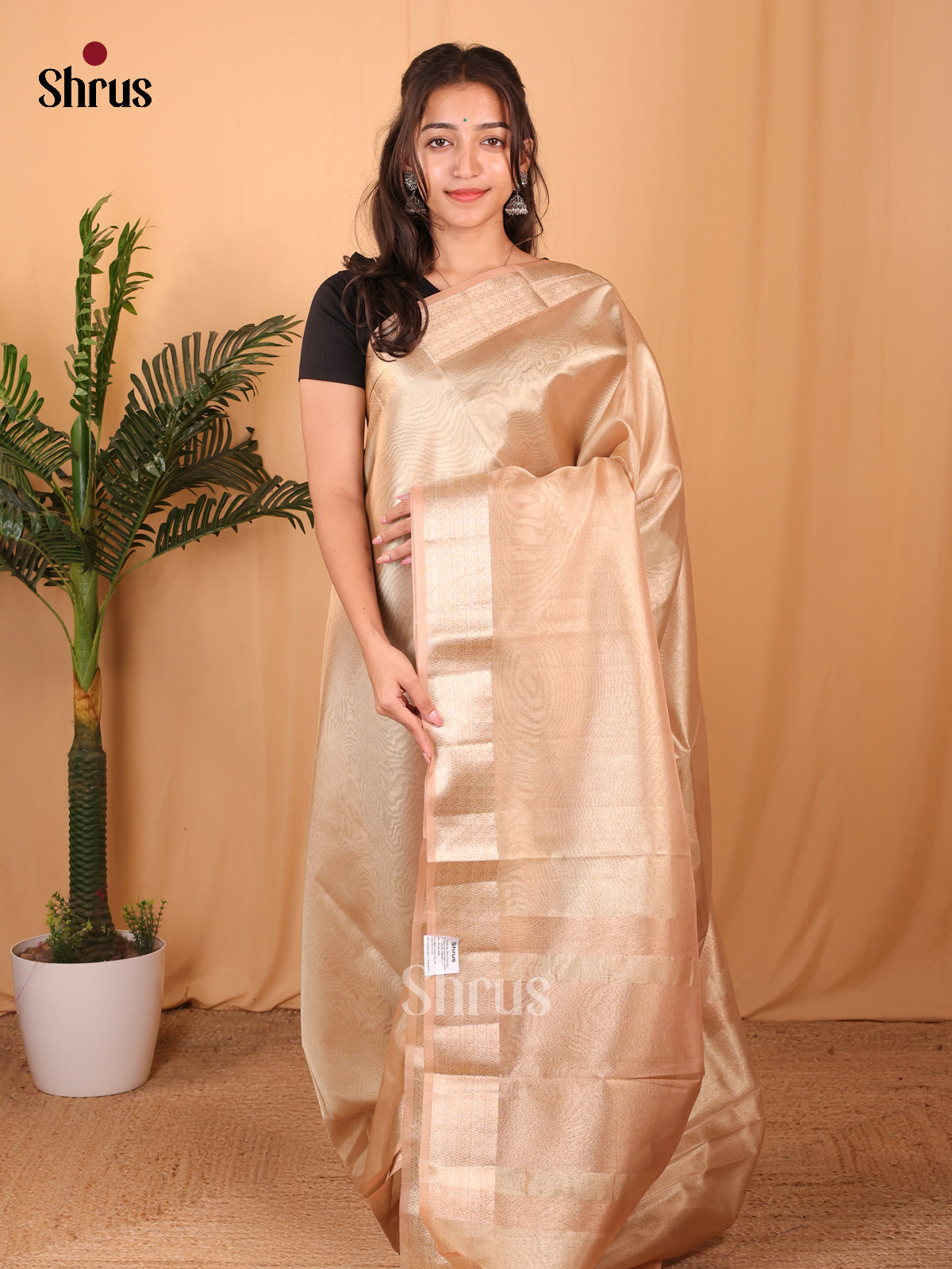 Peach - Semi Tissue Saree - Shop on Shrus.com