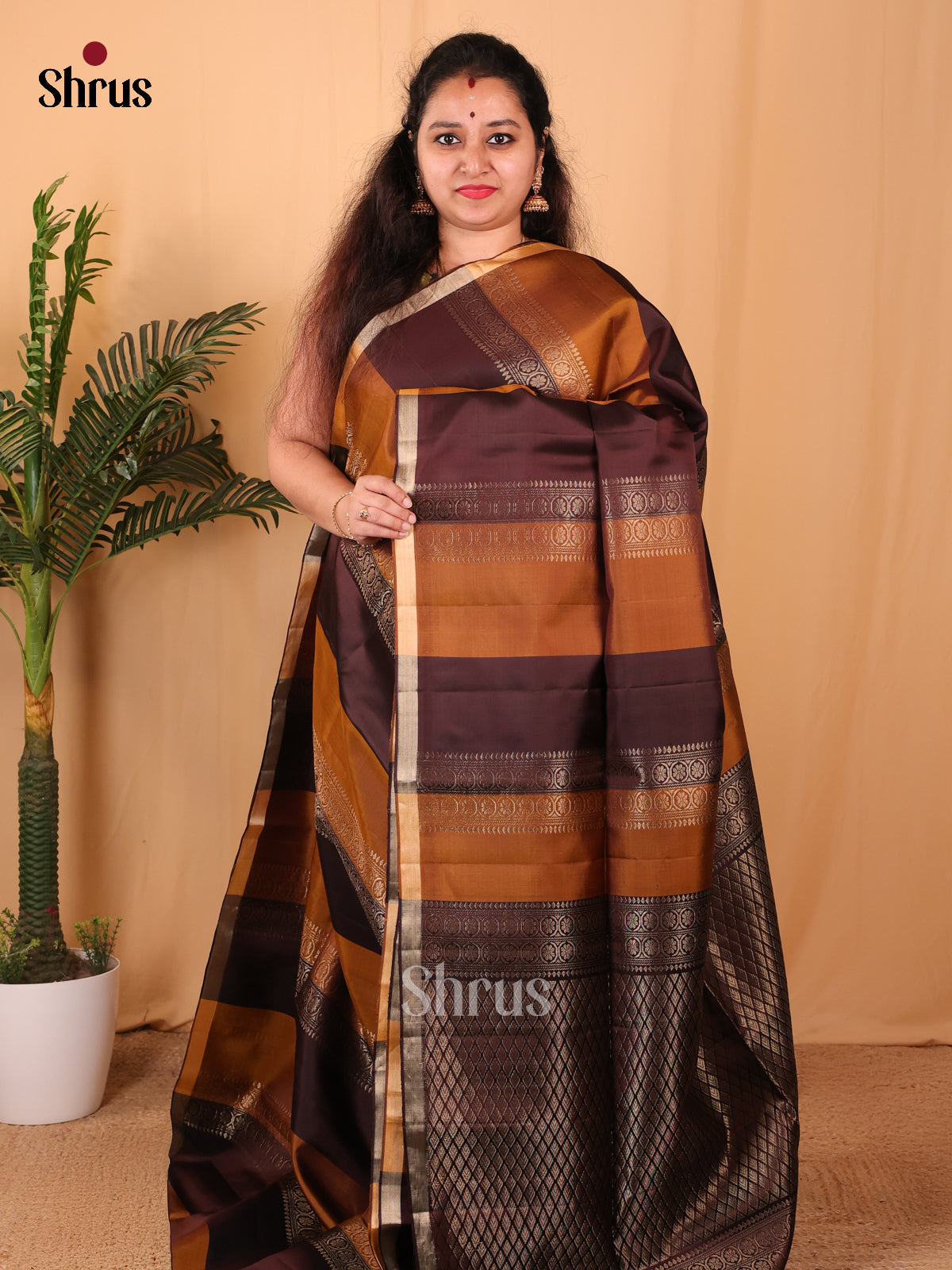 Dark & Lite Brown - Soft Silk Saree - Shop on Shrus.com