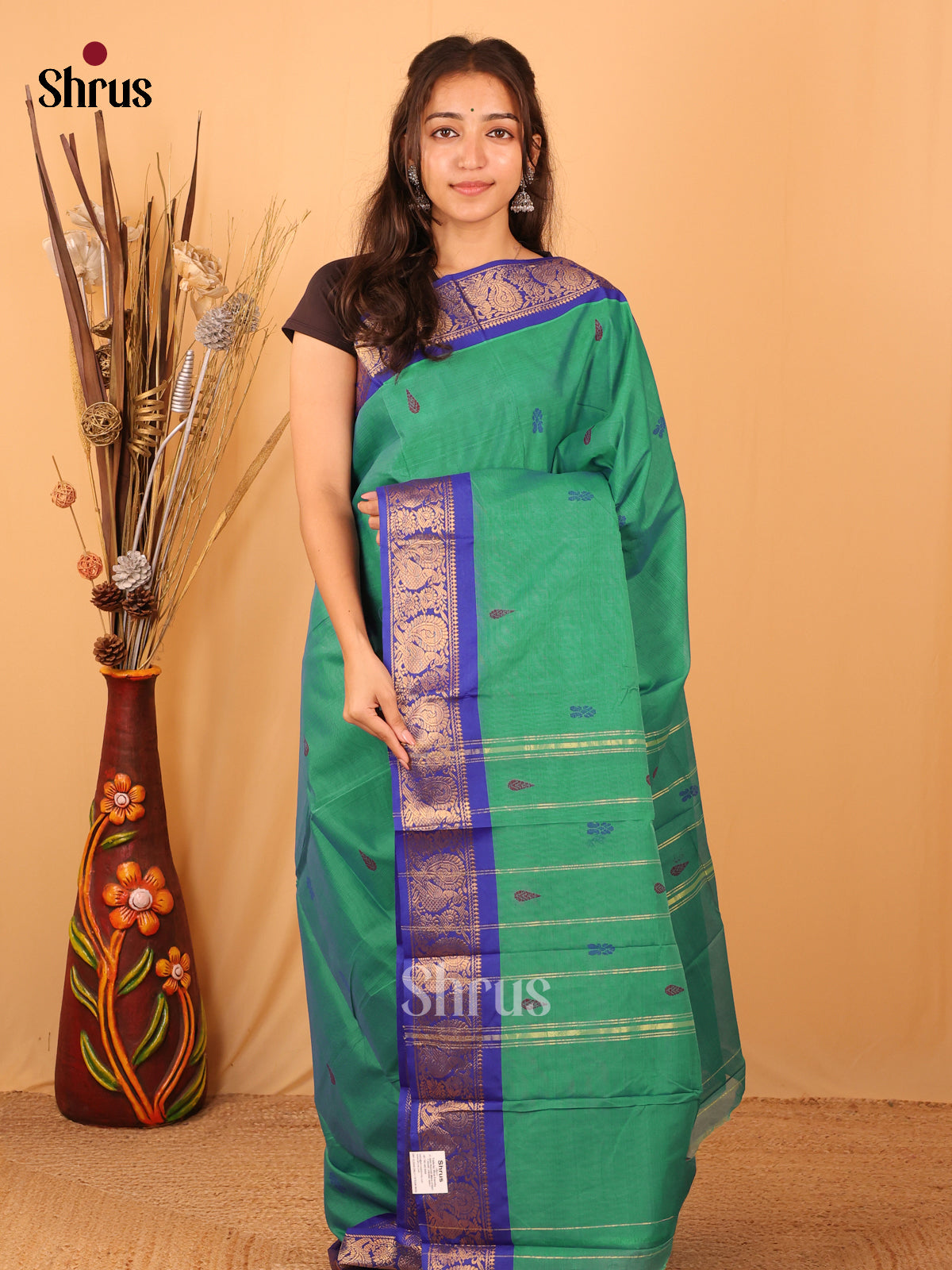 Chettinad Cotton Saree - Seafoam green with purple - blue border main image 0