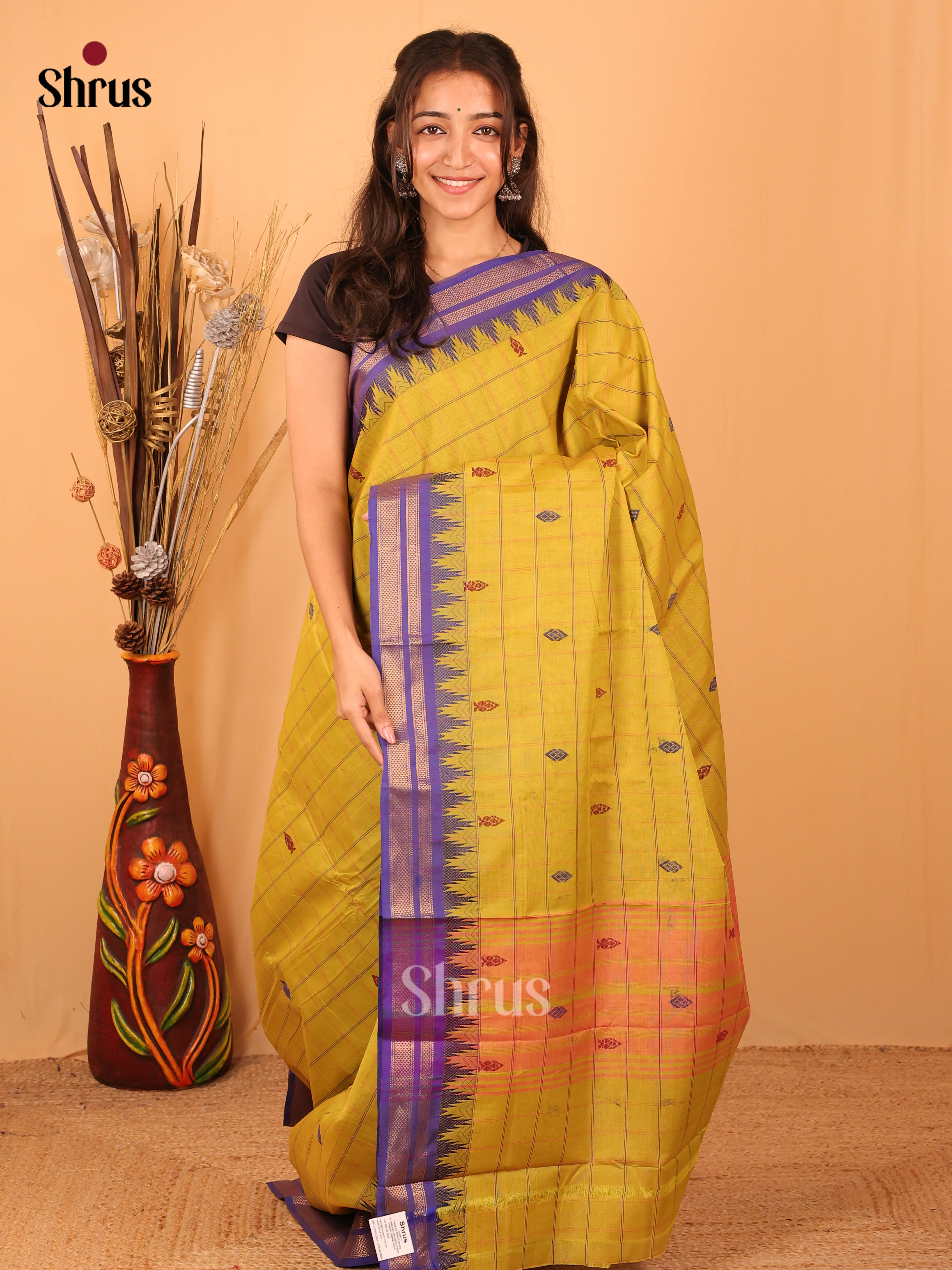 Mustardy Green & Purple- Chettinad Mix Cotton Saree - Shop on Shrus.com